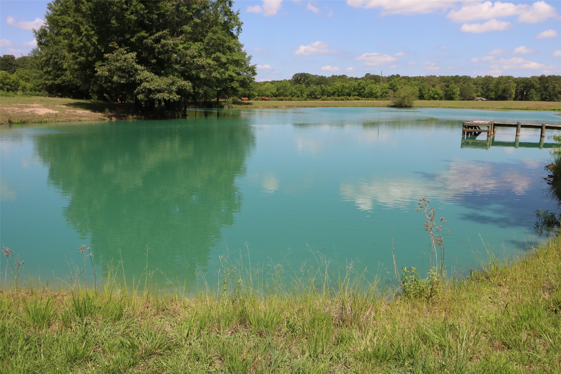 11083 Farm Road 1502 Paris TX 75462