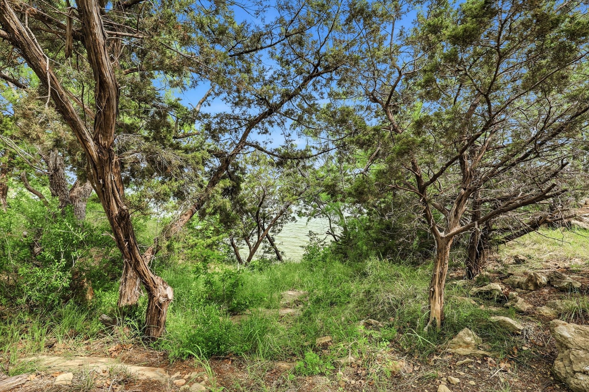 8799 County Road 299 Graham TX 76450