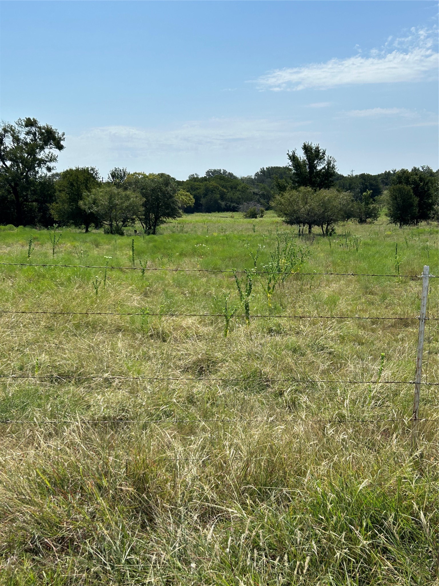 10047 E Highway 36 Jonesboro TX 76538