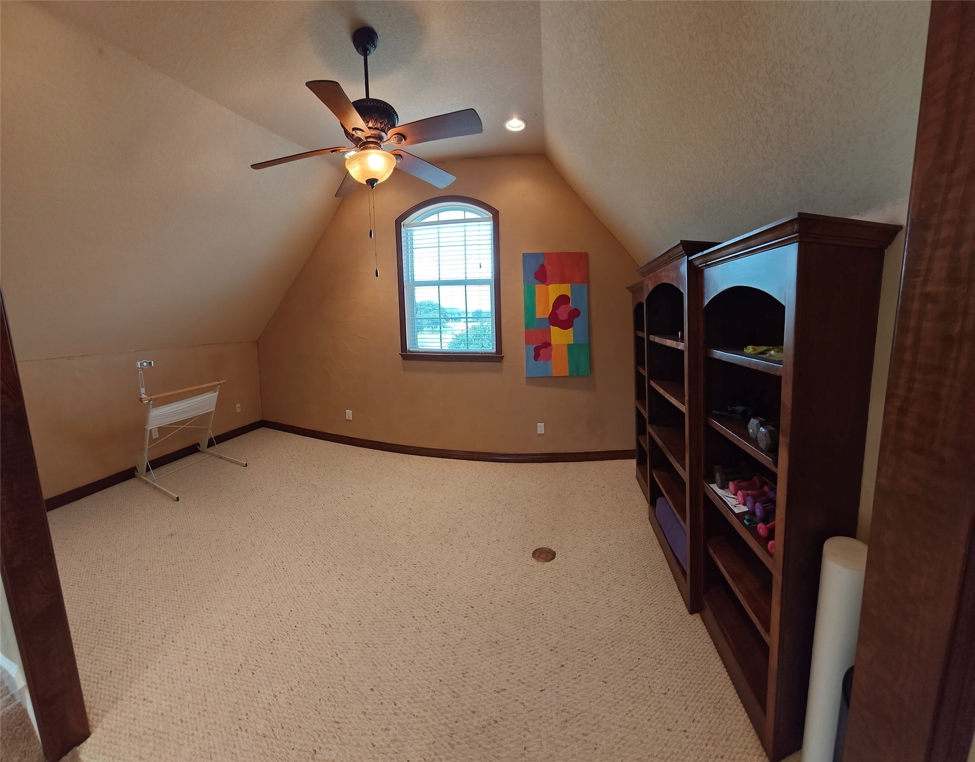 2541 Vineyard Drive Granbury TX 76048