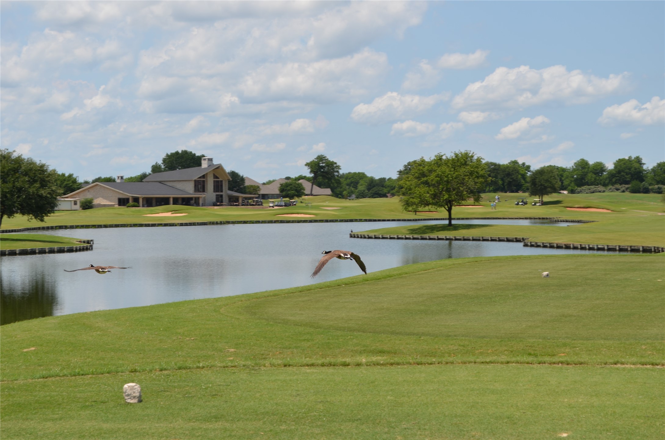 2541 Vineyard Drive Granbury TX 76048