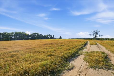 7335 Cr 4710 Larue TX 75770