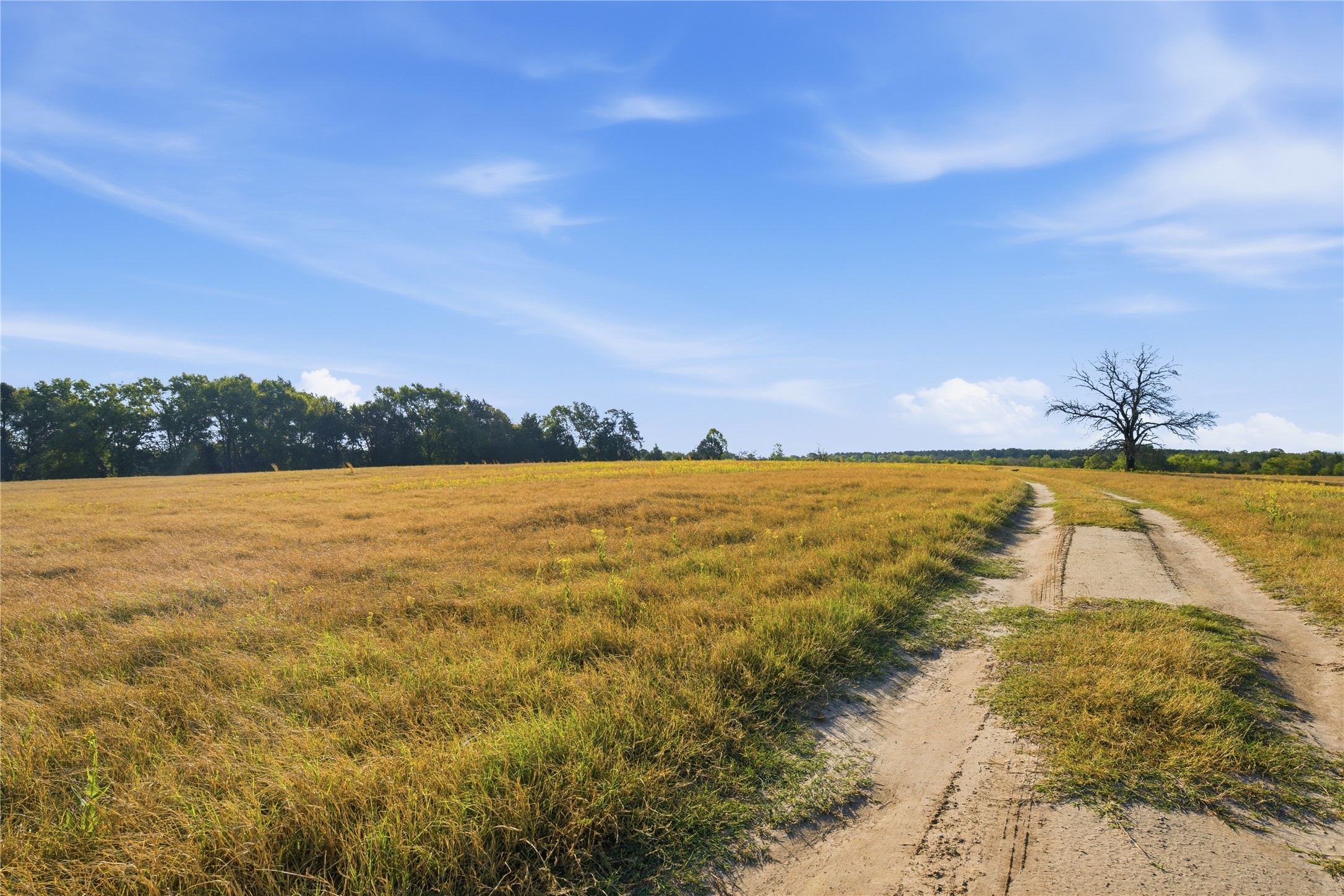 7335 Cr 4710 Larue TX 75770