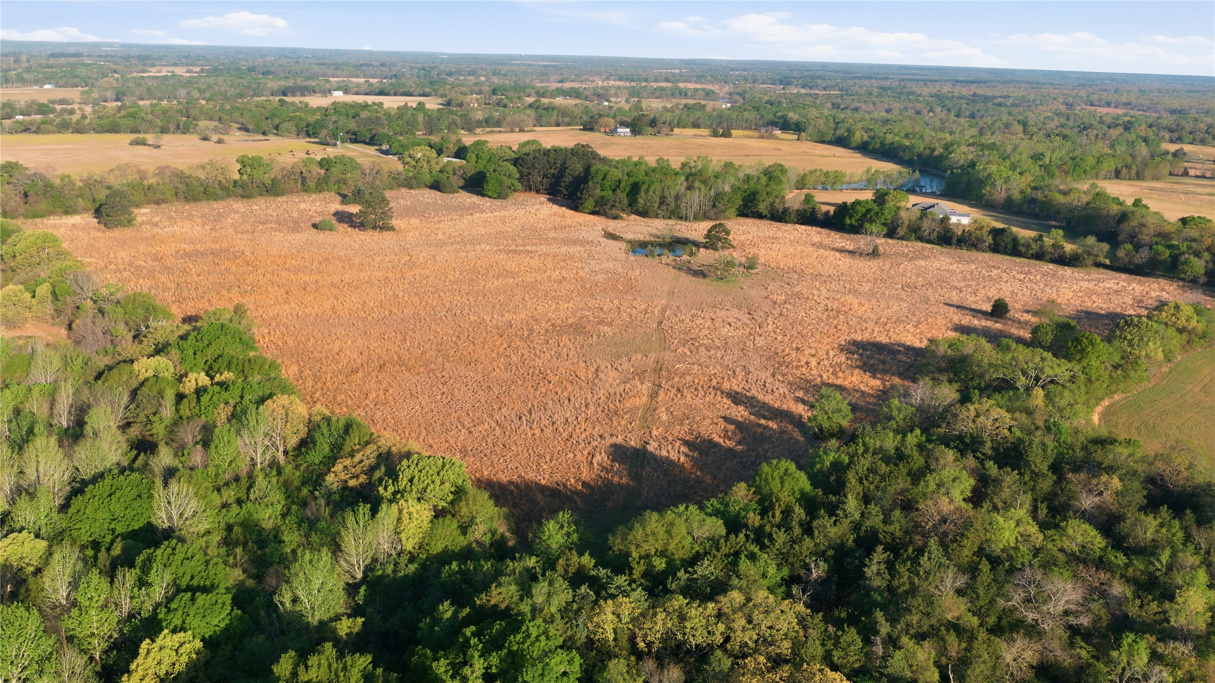 7335 Cr 4710 Larue TX 75770