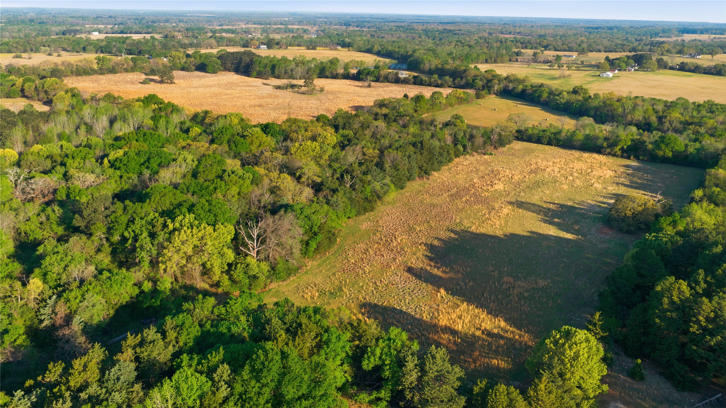 7335 Cr 4710 Larue TX 75770