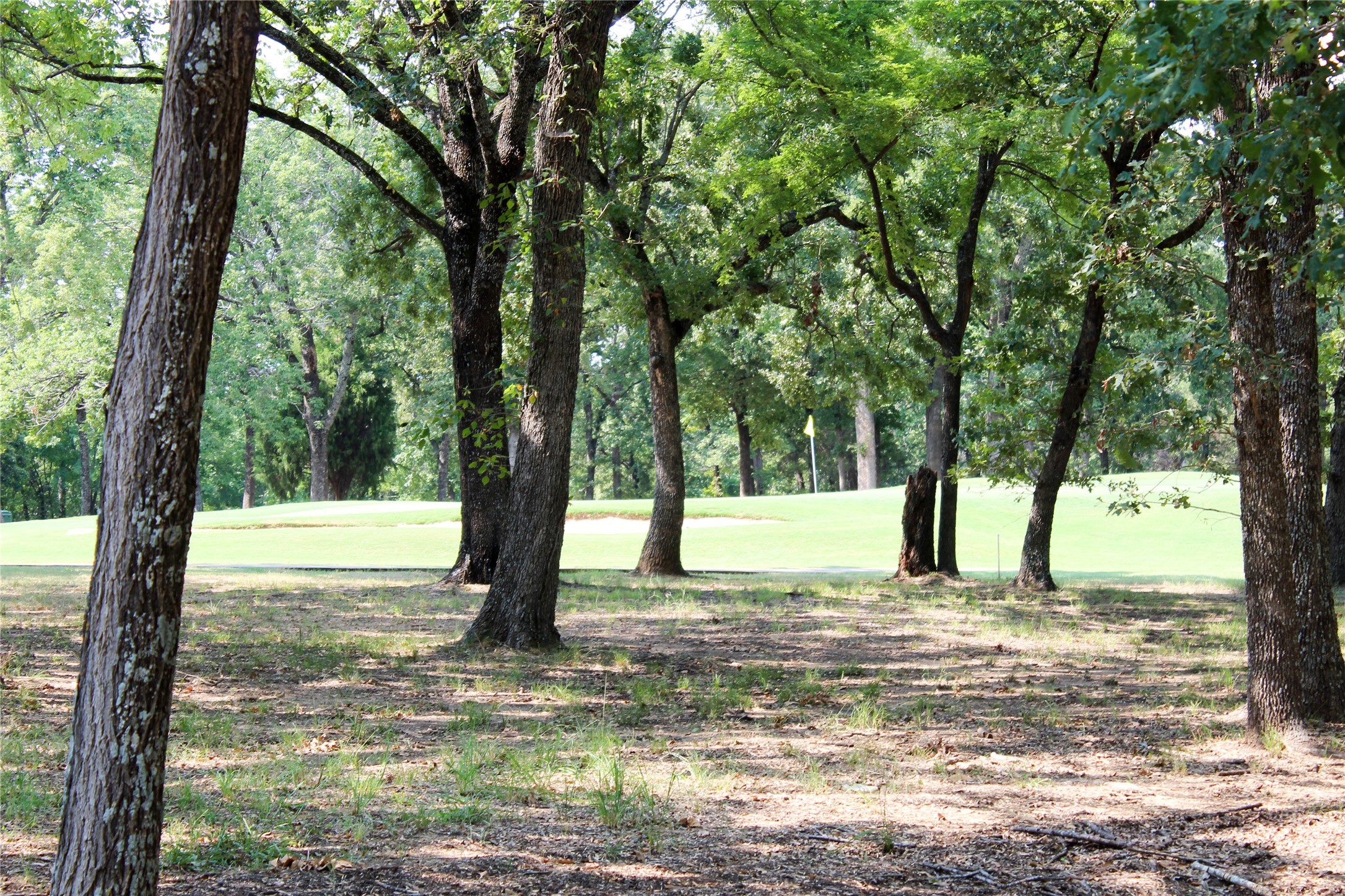 110 Bay Tree Trail Mabank TX 75156