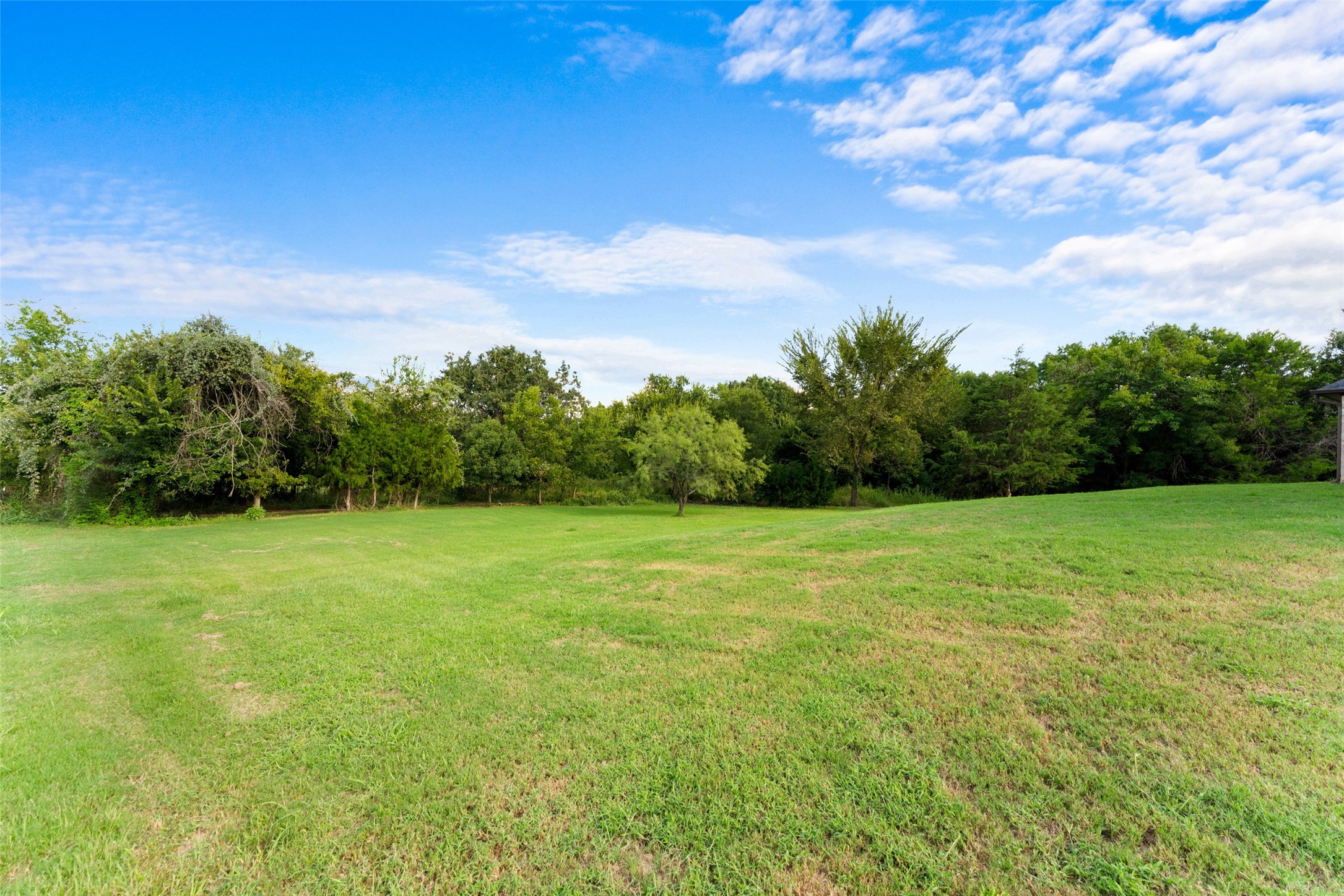 1055 Meadow Wood Terrace Azle TX 76020