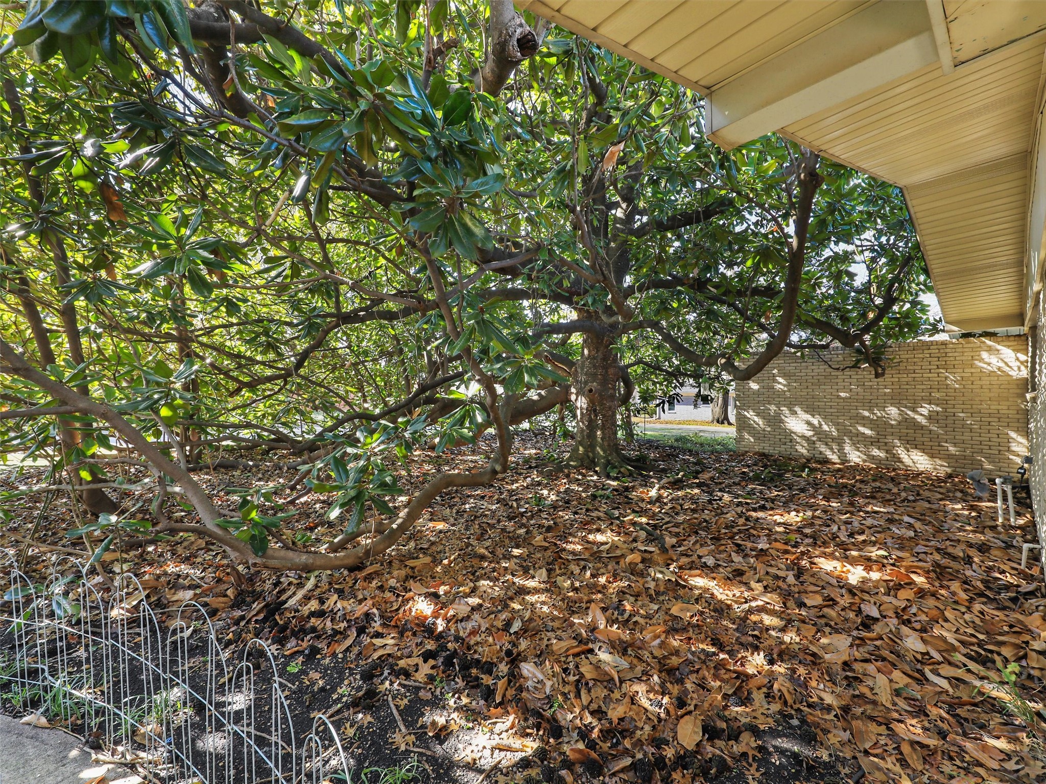 1102 N Graves Street Mckinney TX 75069