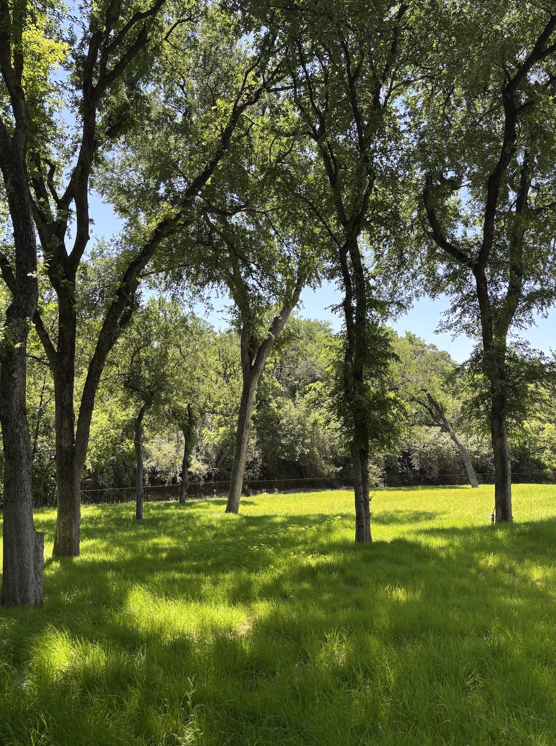 10010 Strait Lane Dallas TX 75229