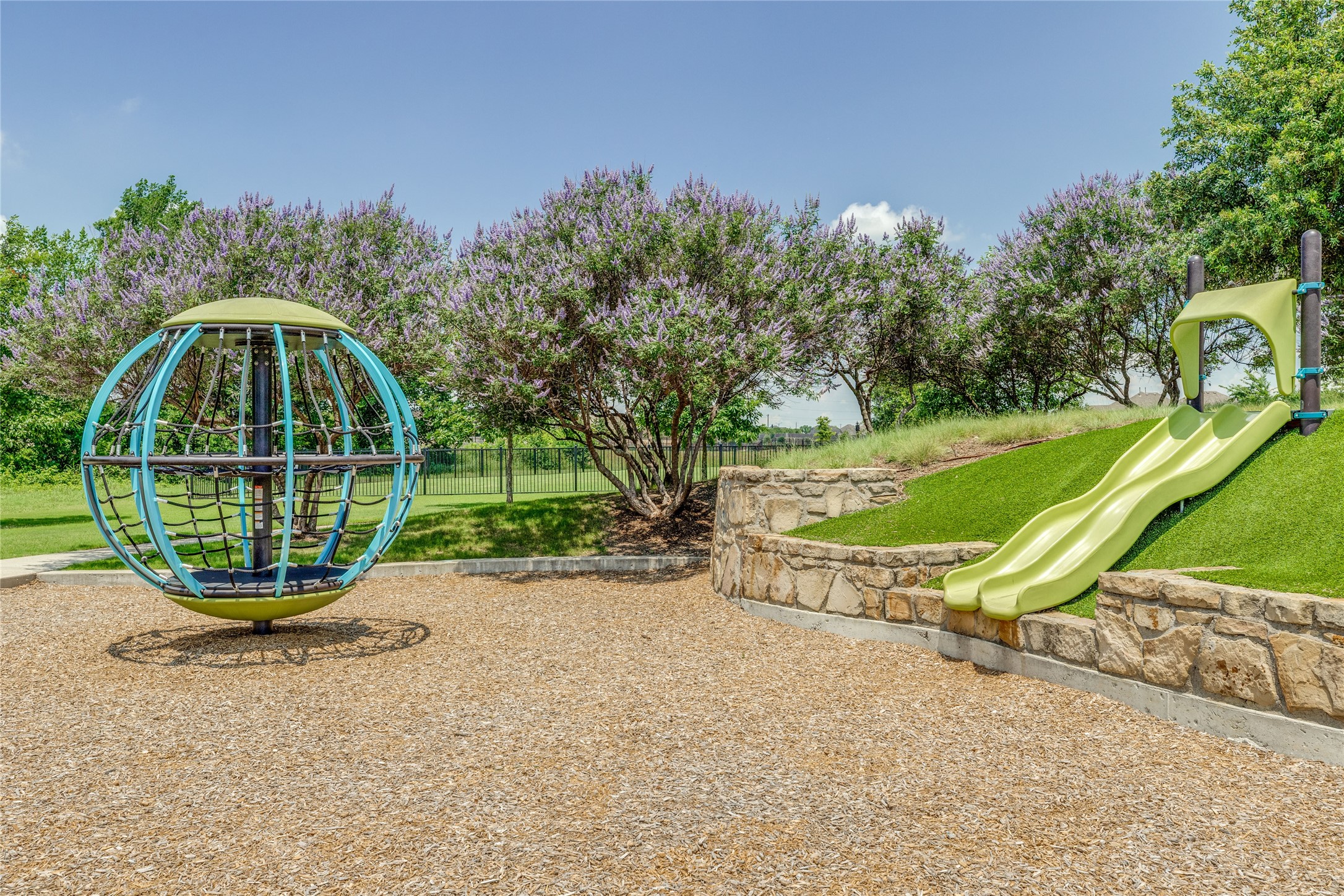 1637 Snowdrop Drive Celina TX 75078