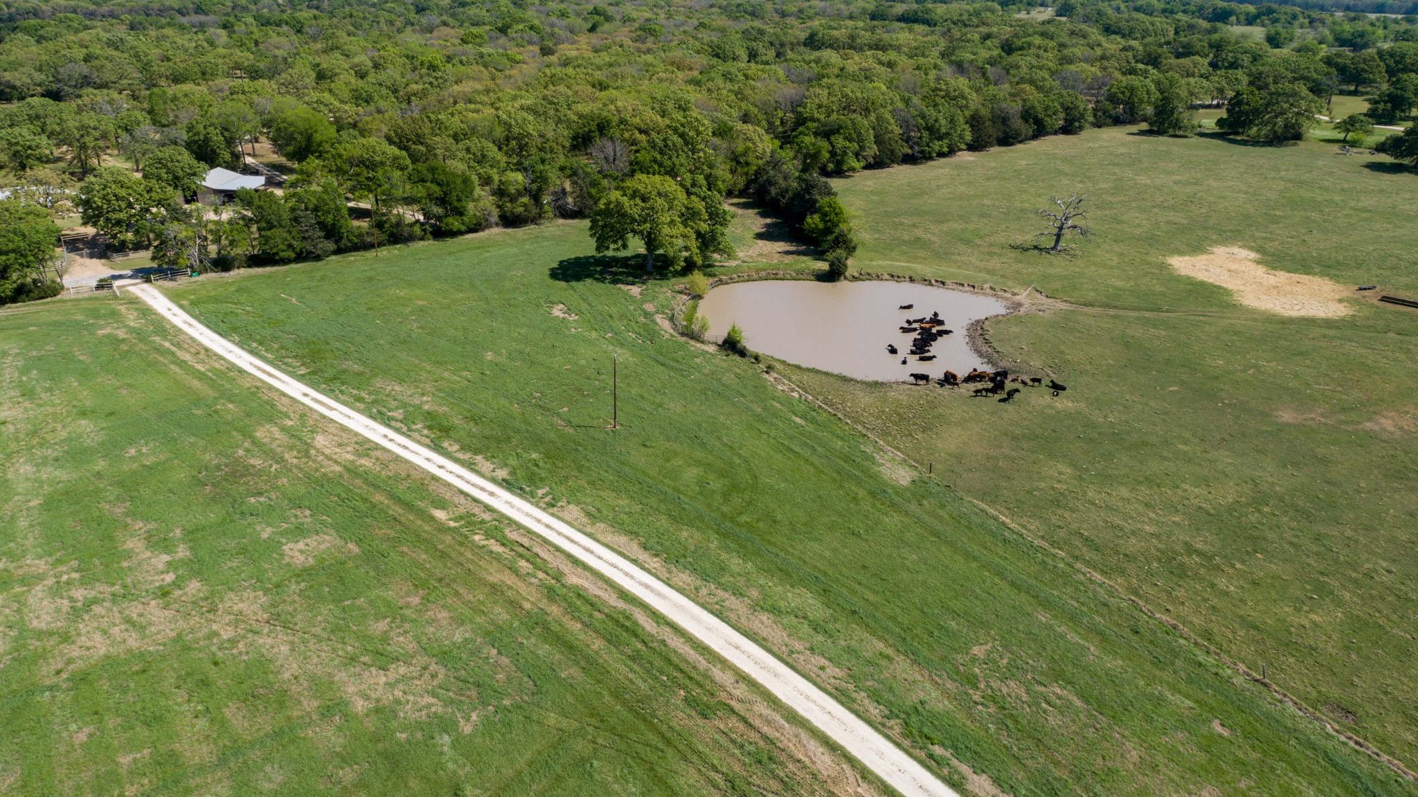 9390 County Road 4028 Kemp TX 75143