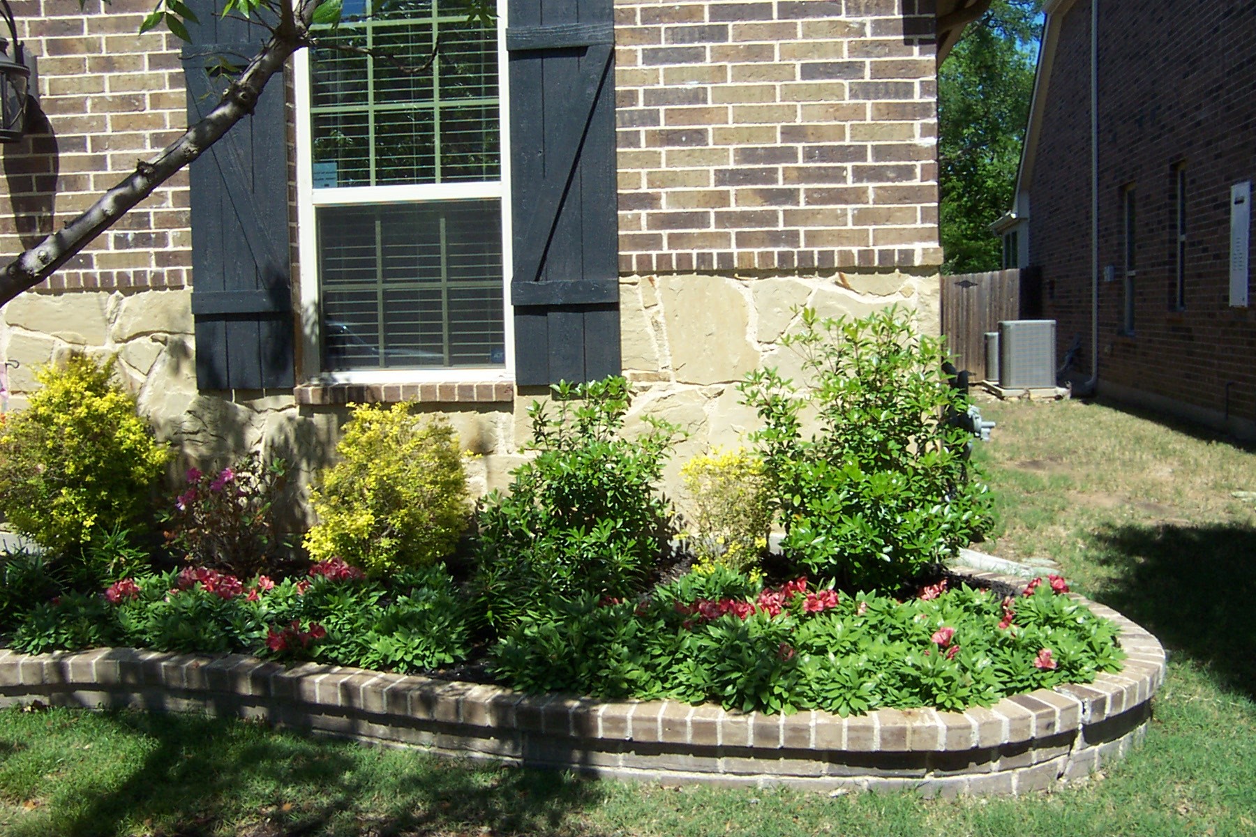 815 Dove Trail Euless TX 76039