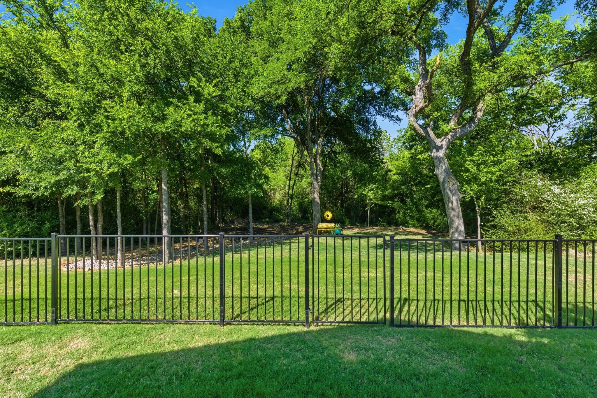 815 Dove Trail Euless TX 76039