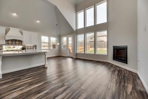 1724 Frisco Hills Boulevard Little Elm TX 75068