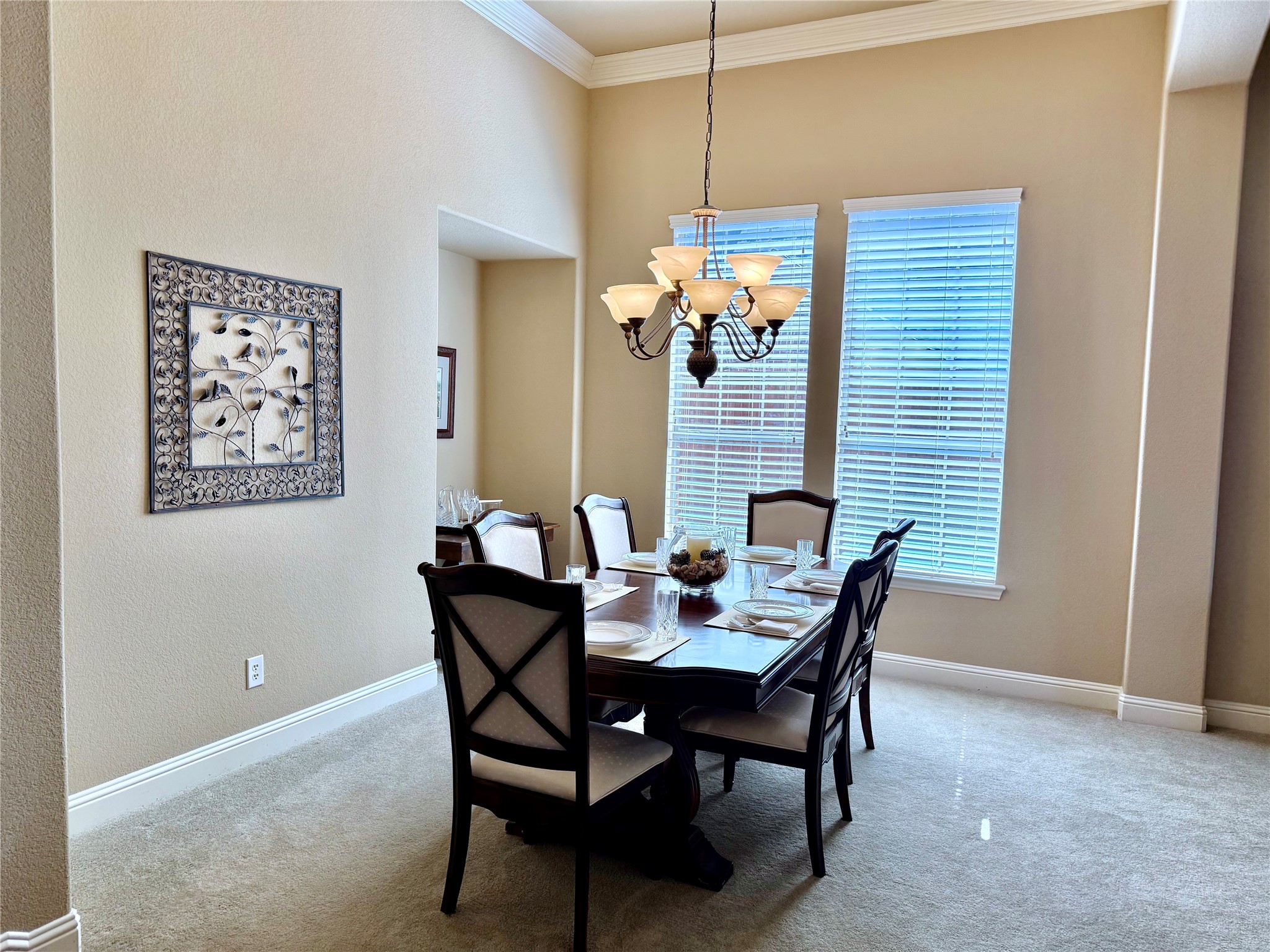 1019 Hot Springs Drive Allen TX 75013