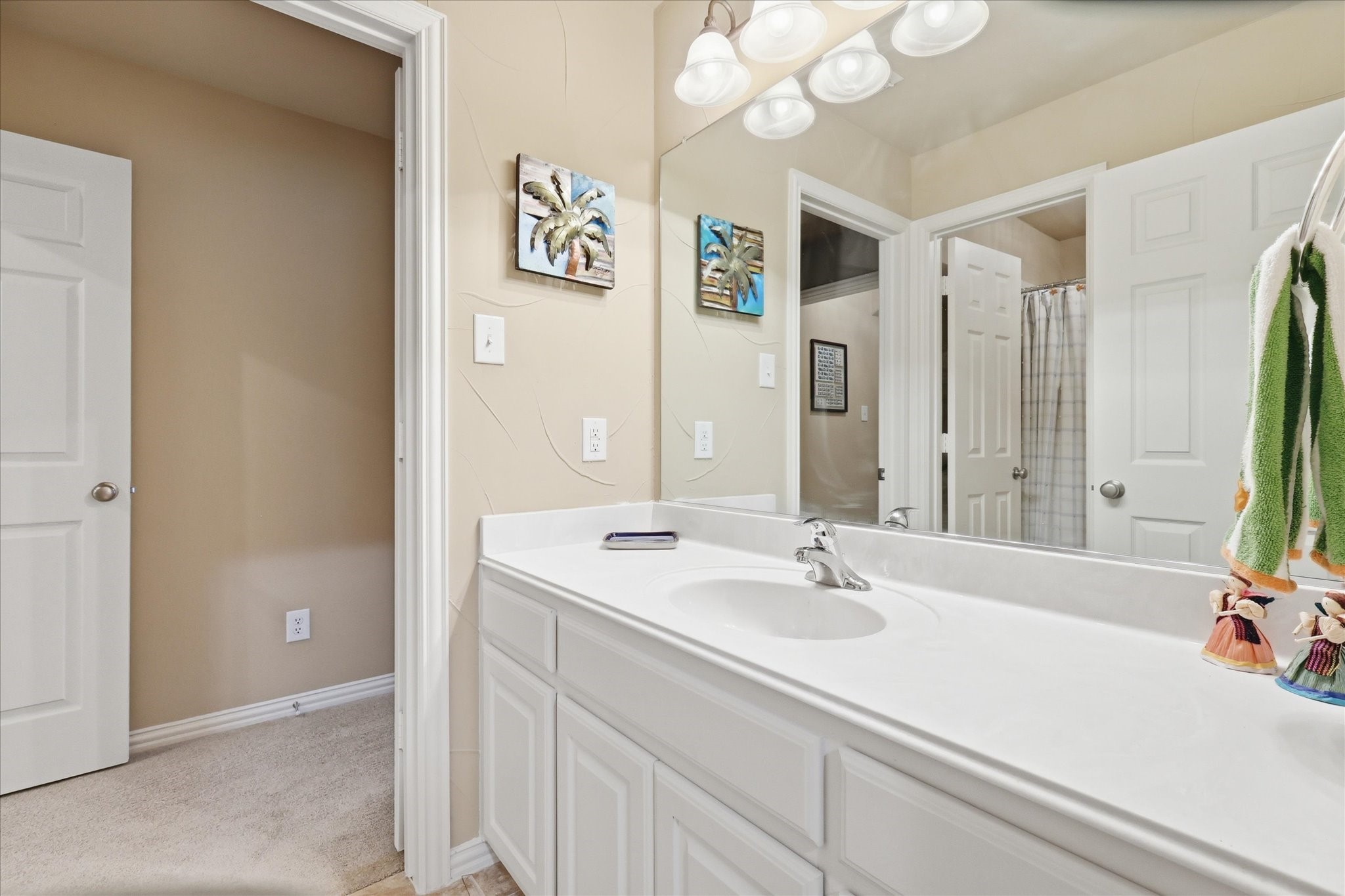 1019 Hot Springs Drive Allen TX 75013