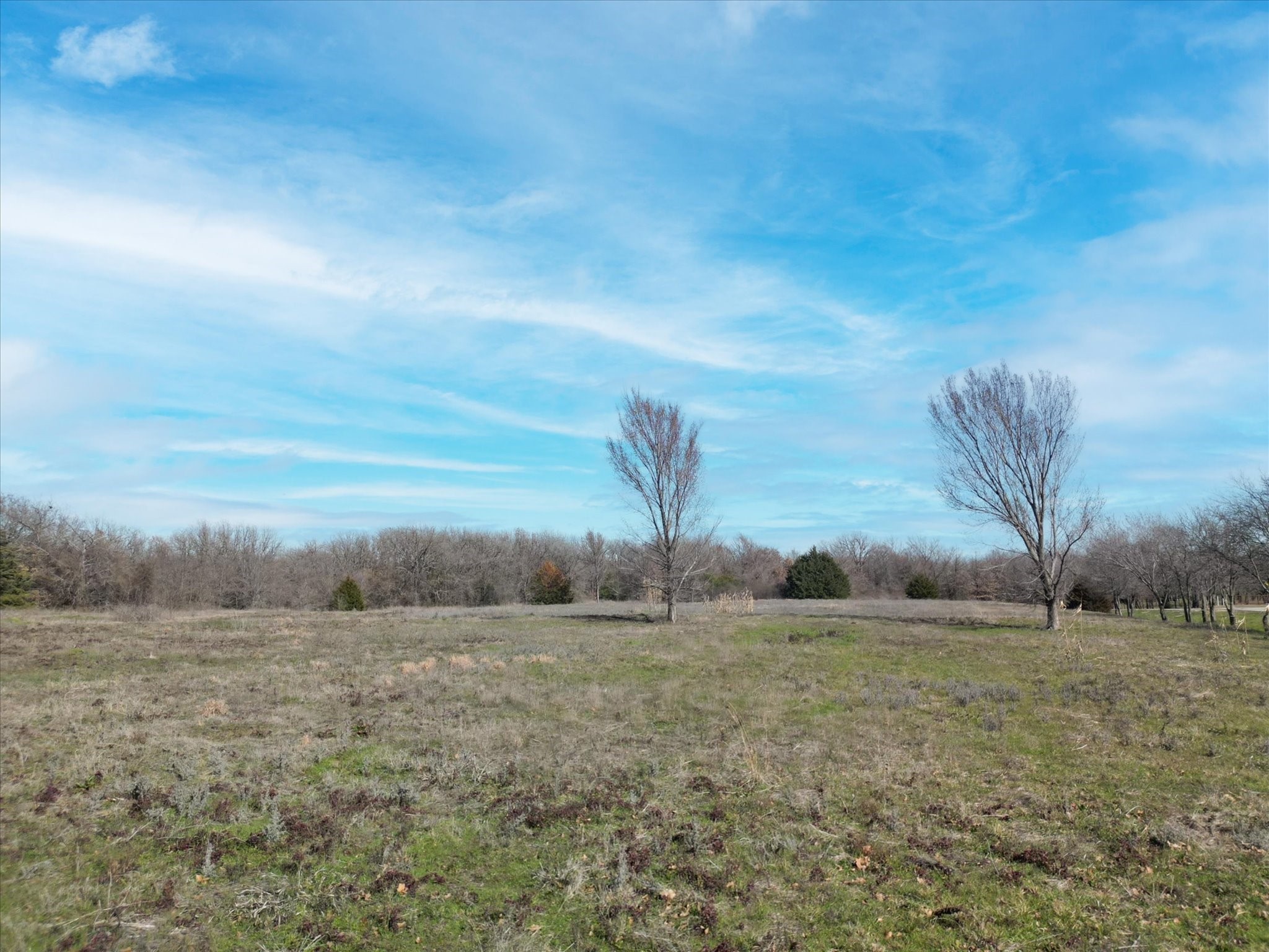 Tbd Joe Allen Road Pilot Point TX 76258