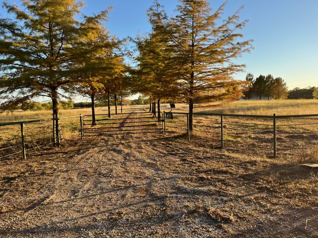 300 County Road 27100 Honey Grove TX 75446