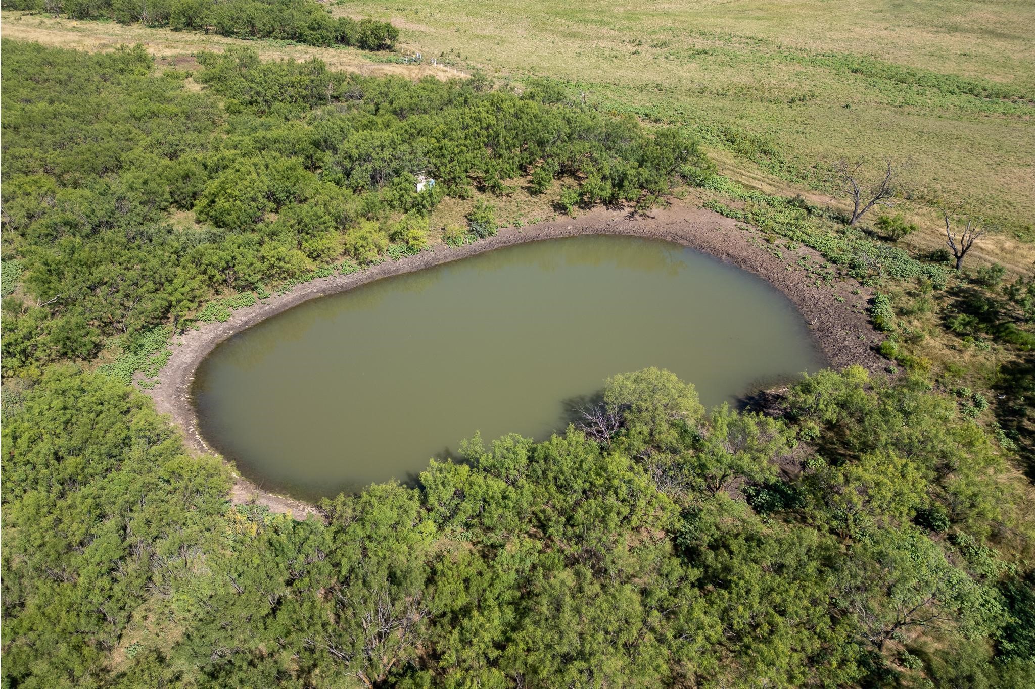 11775 Cr 242 Clyde TX 79510