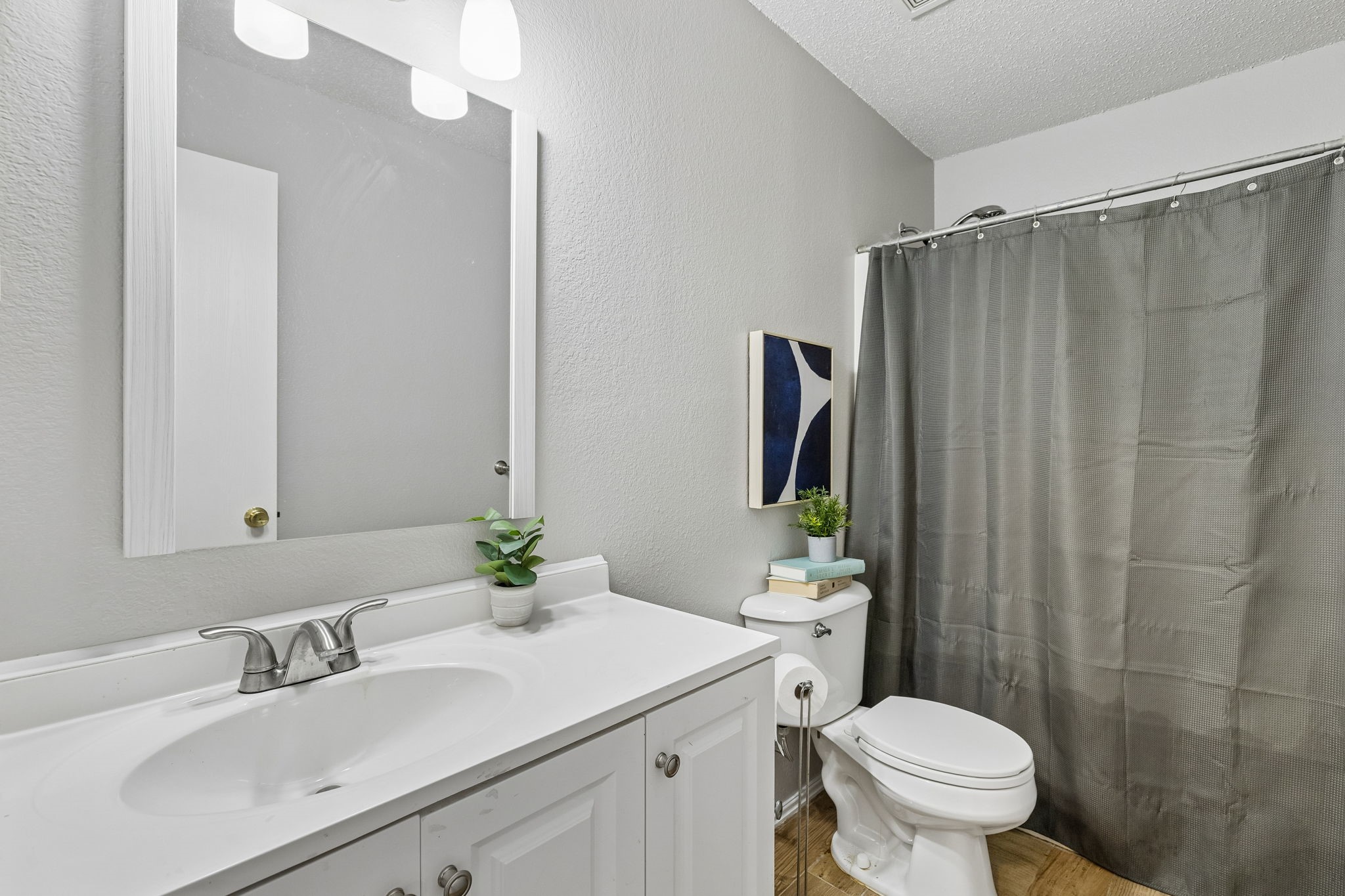 2224 Chestnut Drive Little Elm TX 75068