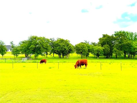 229 Oak Tree Court Poolville TX 76487
