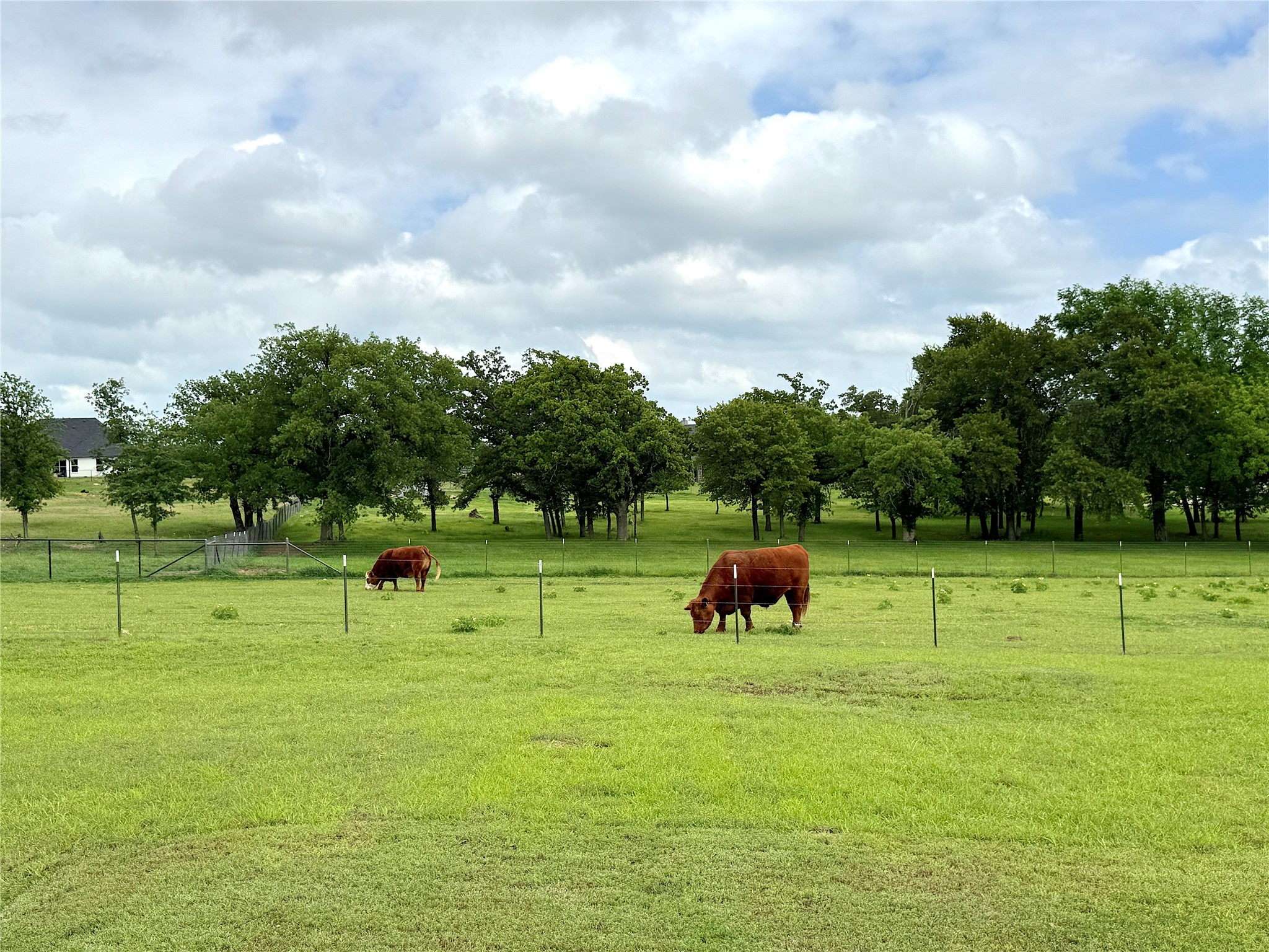 229 Oak Tree Court Poolville TX 76487