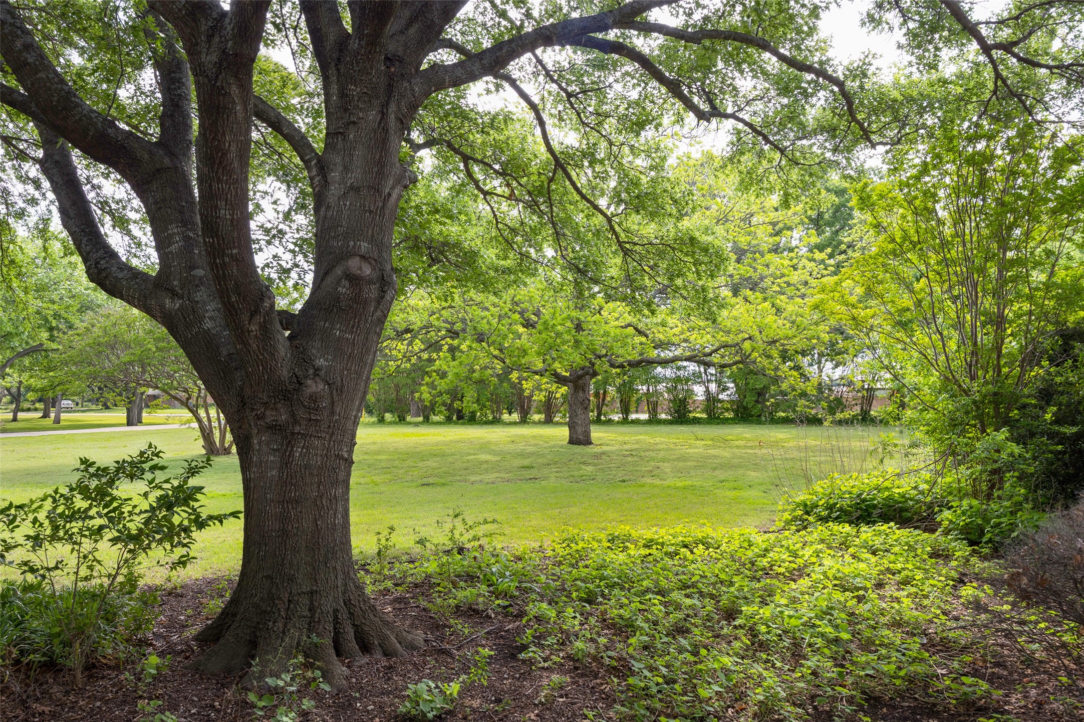 2121 E Pecan Lane Plano TX 75074