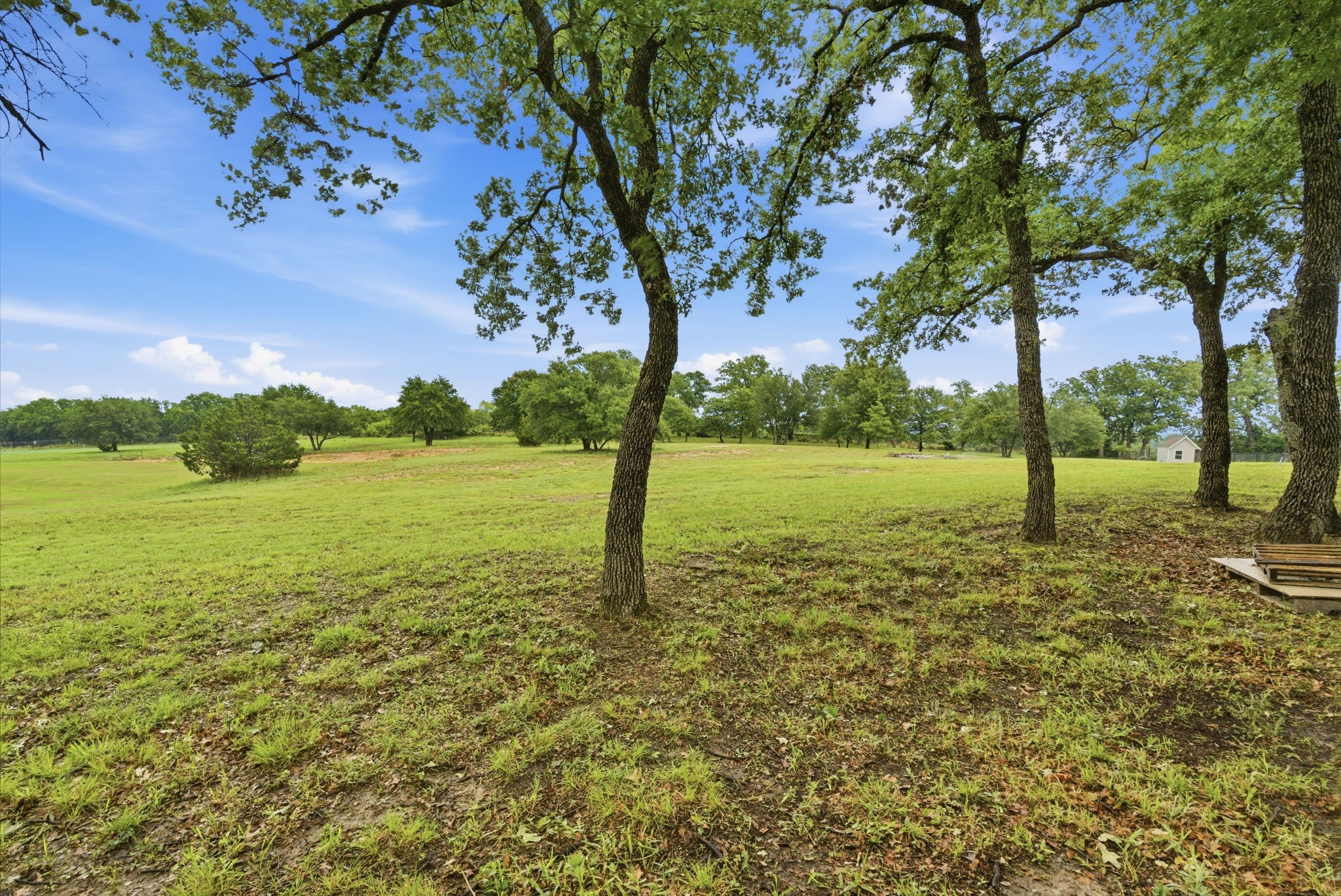 309 Aviara Court Poolville TX 76487