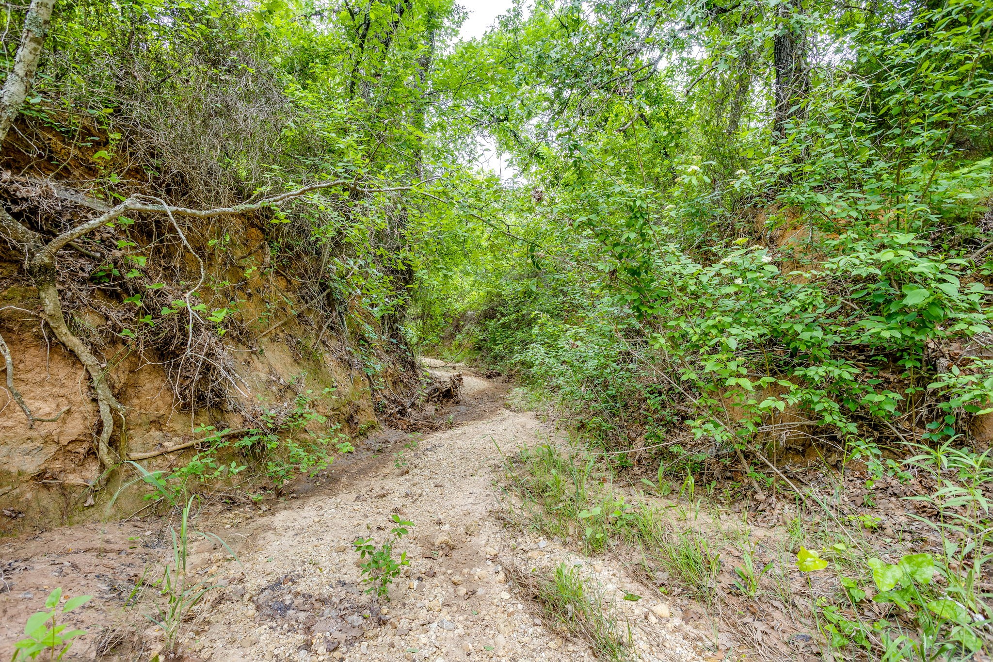 4180 E Fm 2210 E Perrin TX 76486