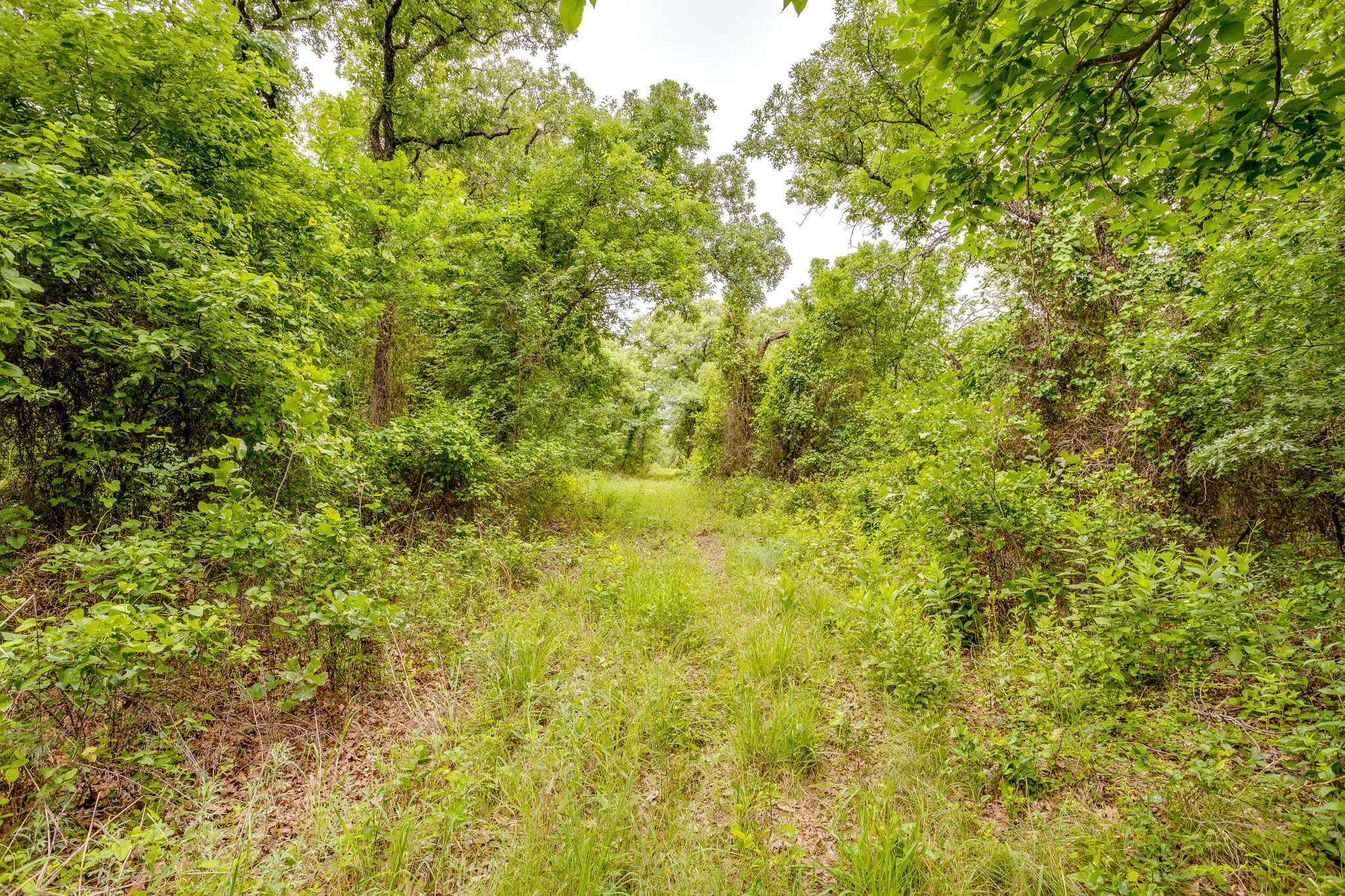4180 E Fm 2210 E Perrin TX 76486