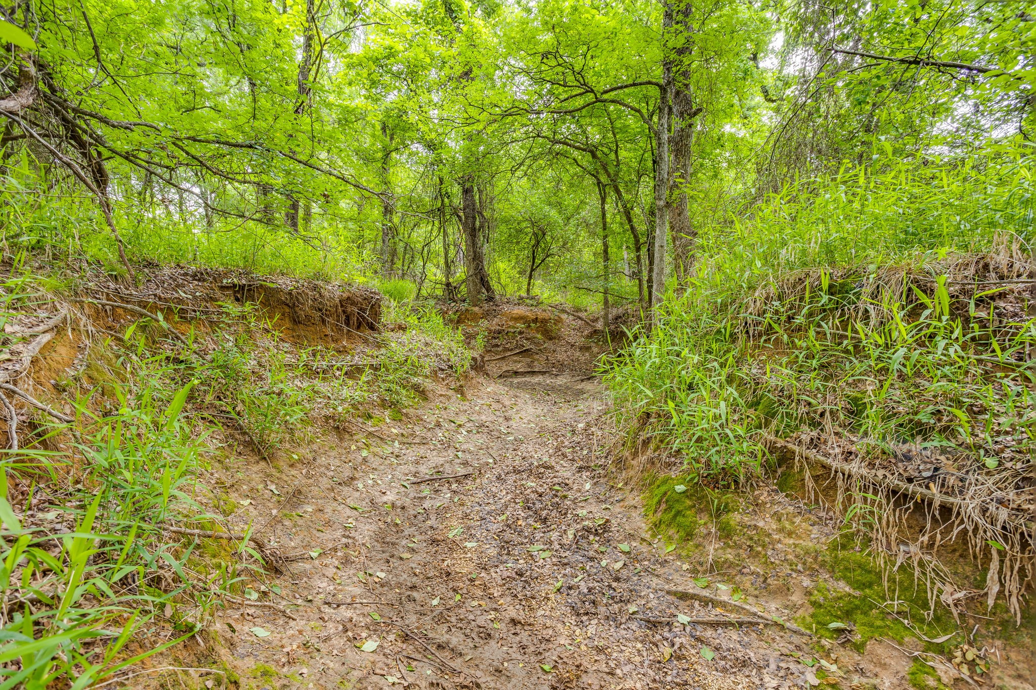 4180 E Fm 2210 E Perrin TX 76486