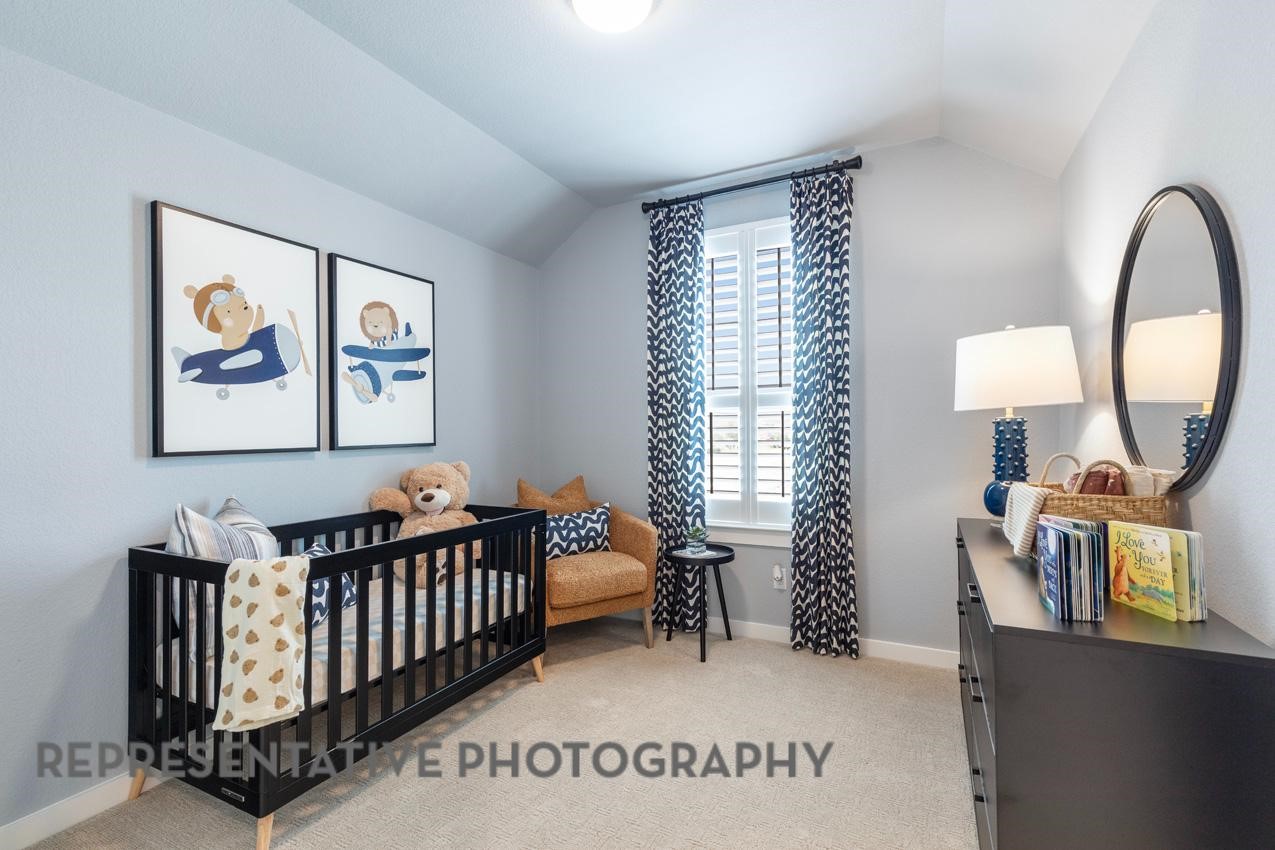 3725 American Paint Drive Aubrey TX 76227