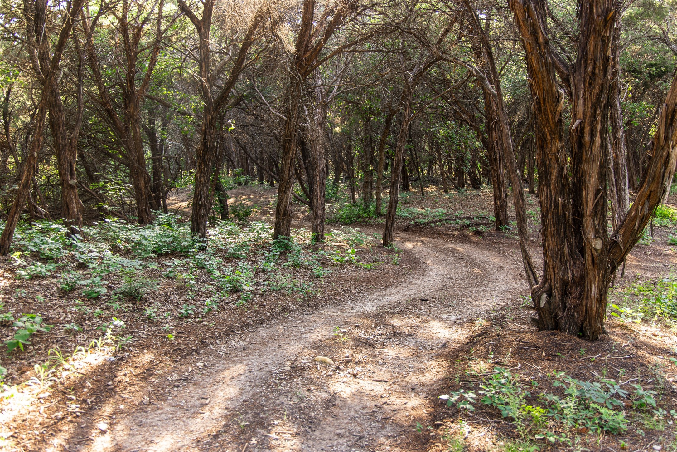 1665 W Belt Line Road Cedar Hill TX 75104