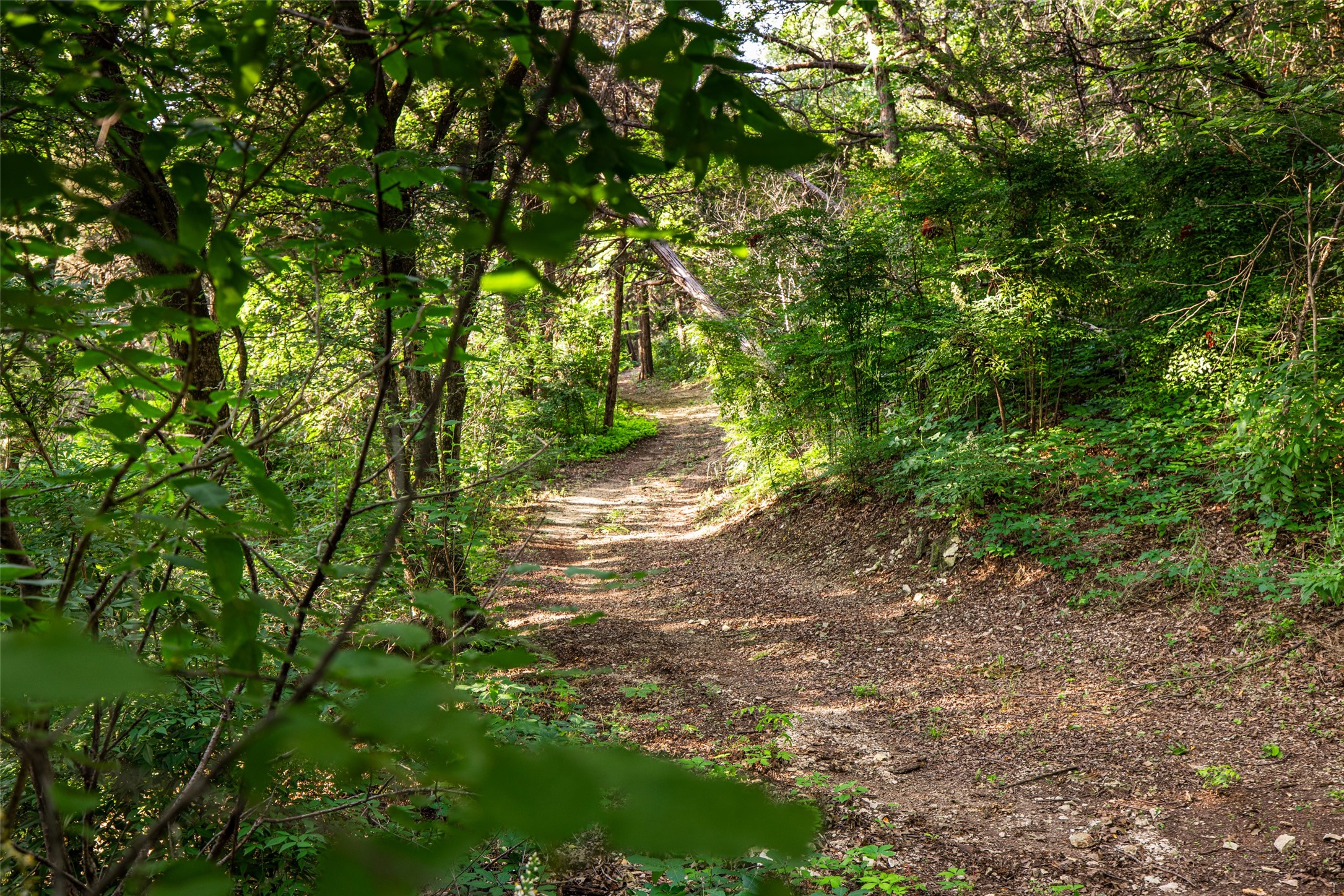 1665 W Belt Line Road Cedar Hill TX 75104