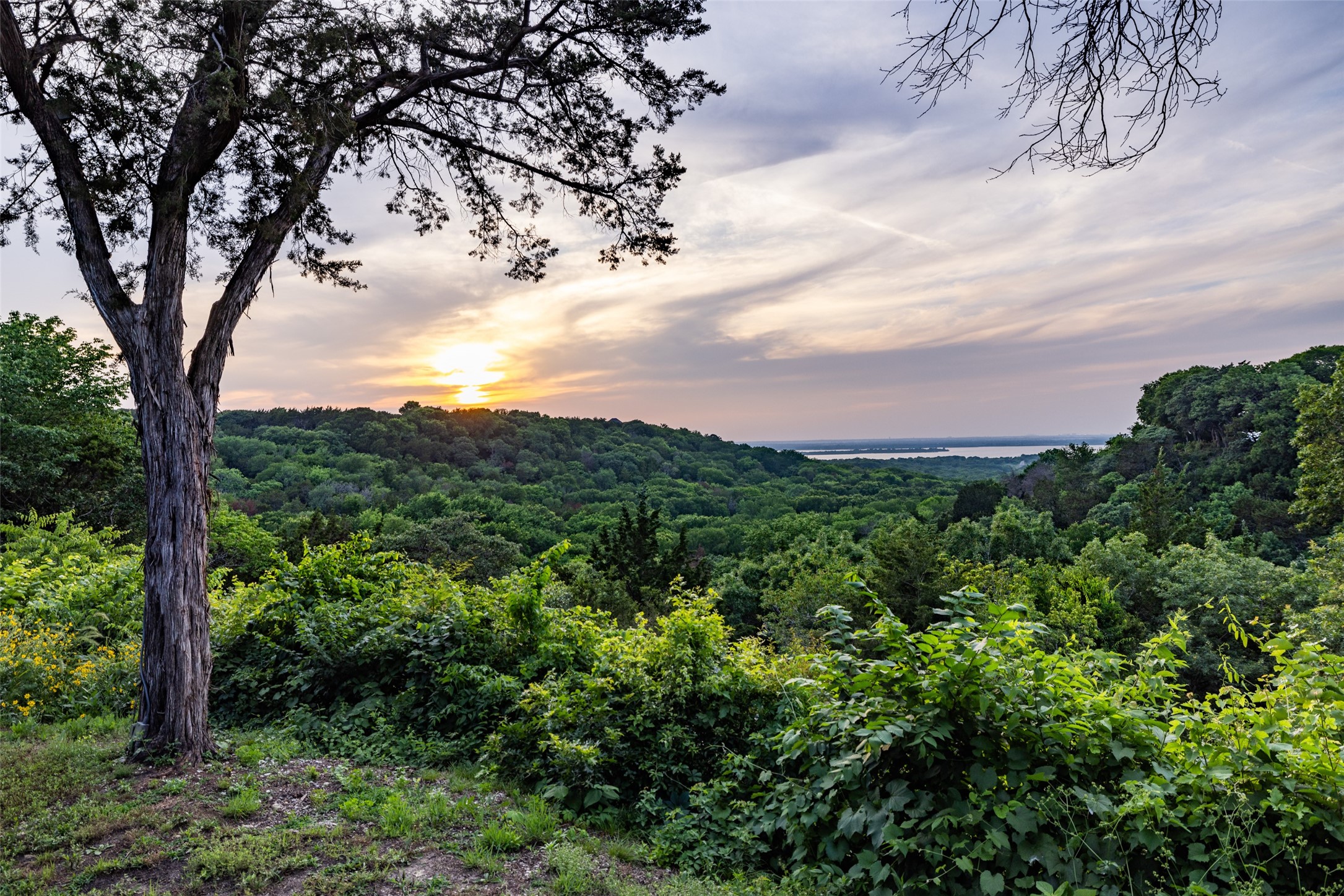 1665 W Belt Line Road Cedar Hill TX 75104