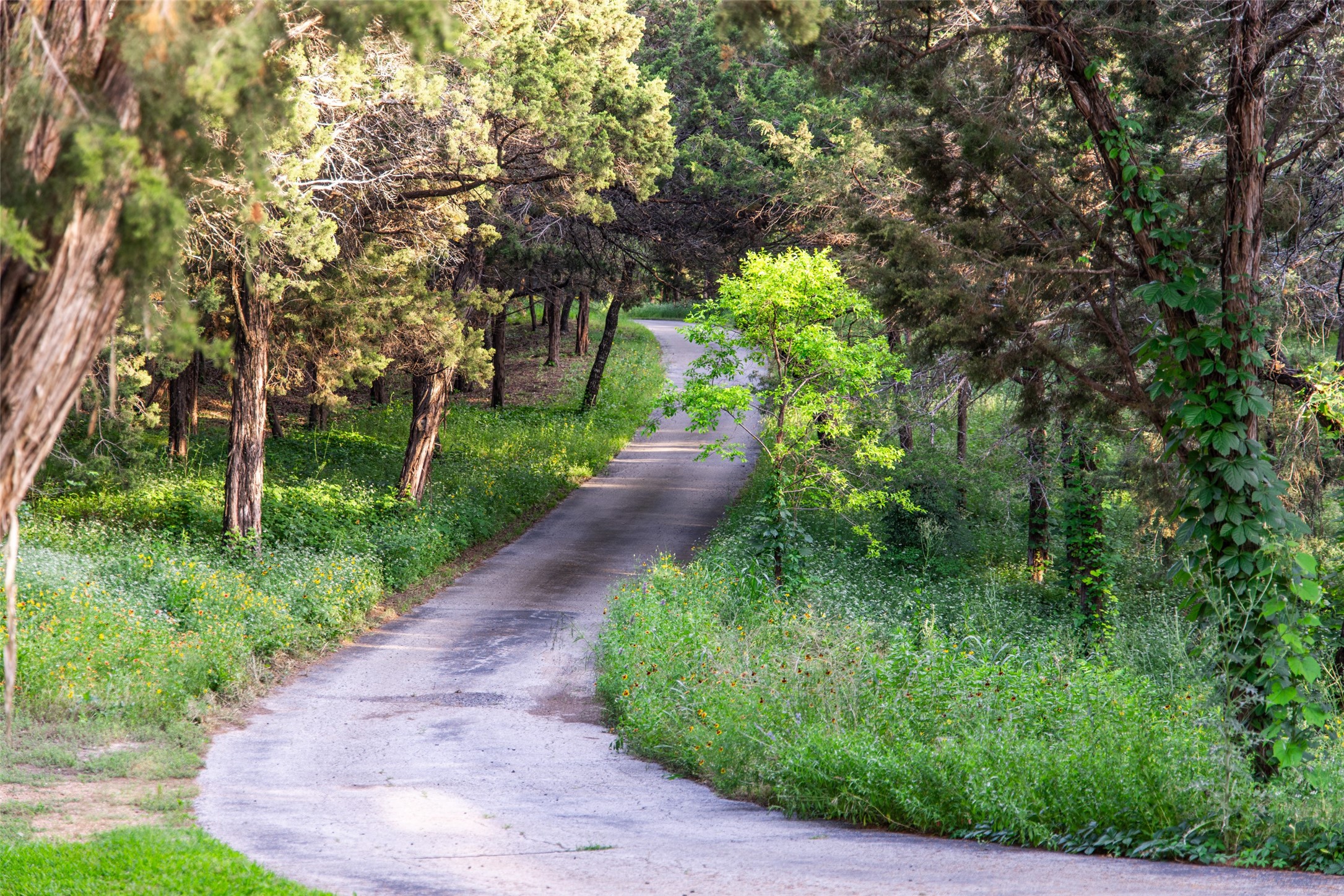 1665 W Belt Line Road Cedar Hill TX 75104