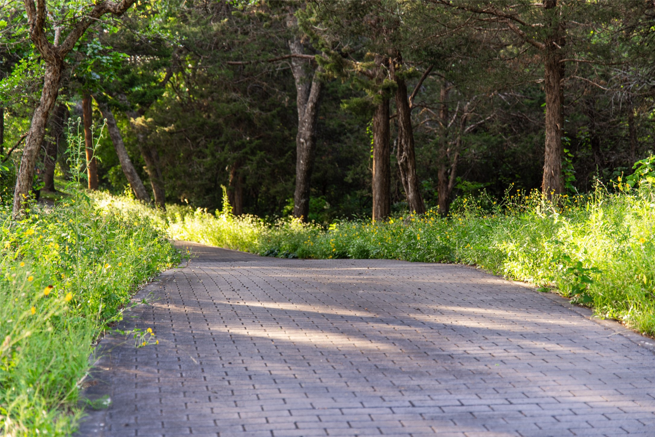 1665 W Belt Line Road Cedar Hill TX 75104