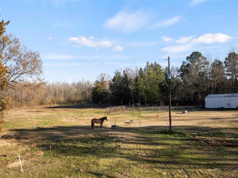 290 County Road 2220 Pittsburg TX 75686