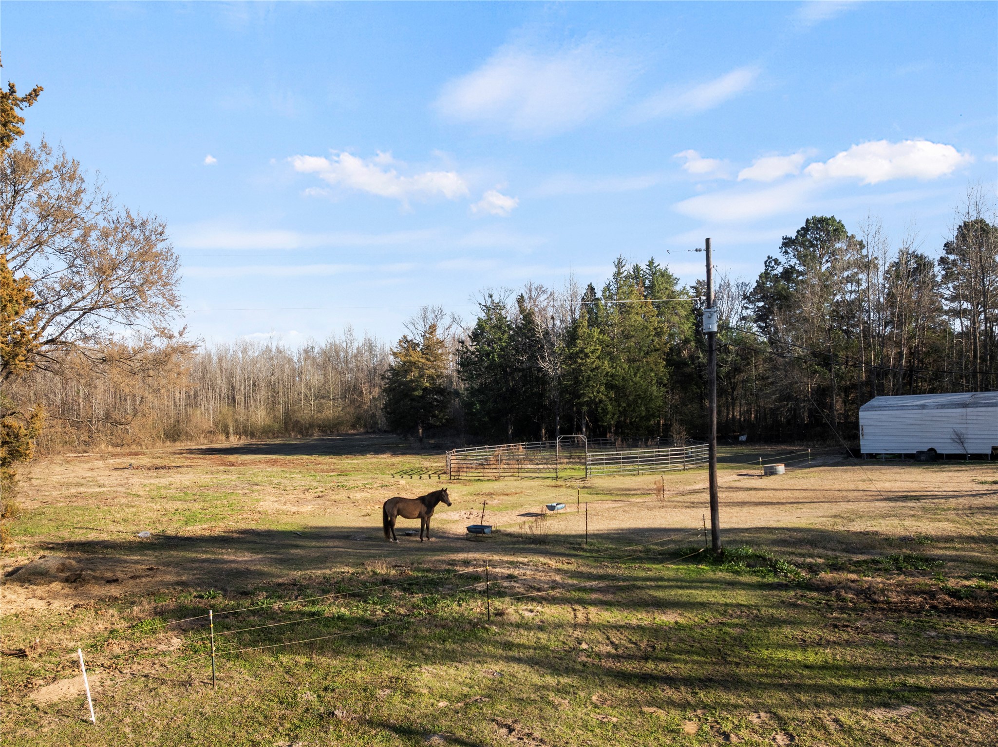 290 County Road 2220 Pittsburg TX 75686