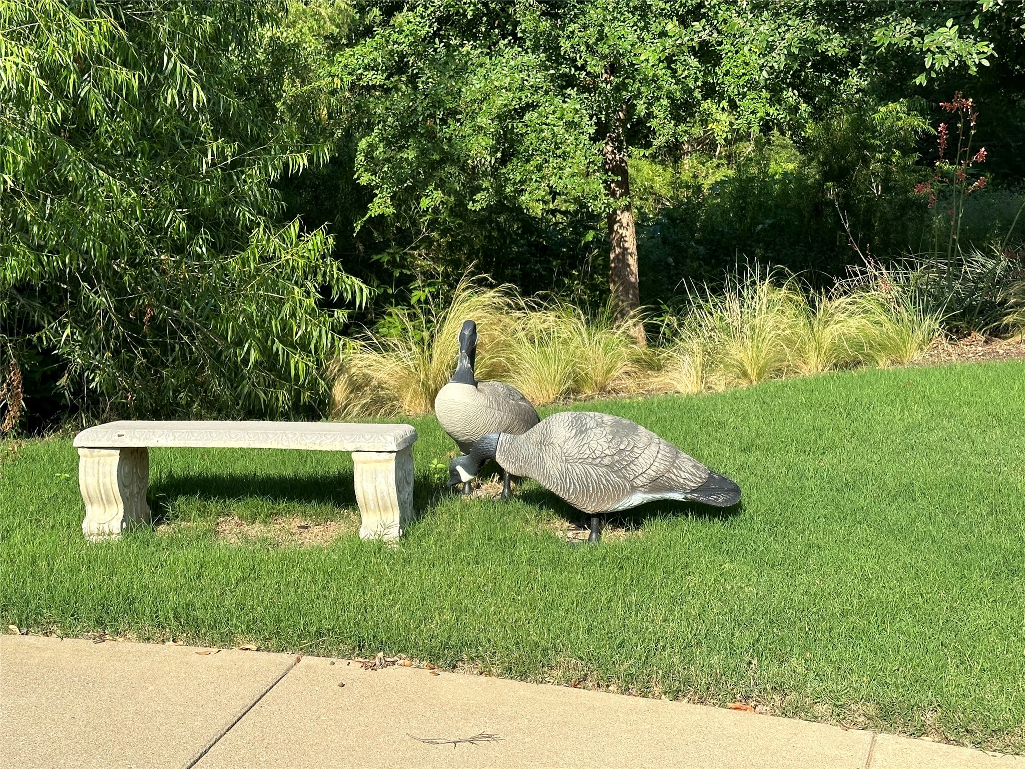 1865 Wood Duck Lane Allen TX 75013