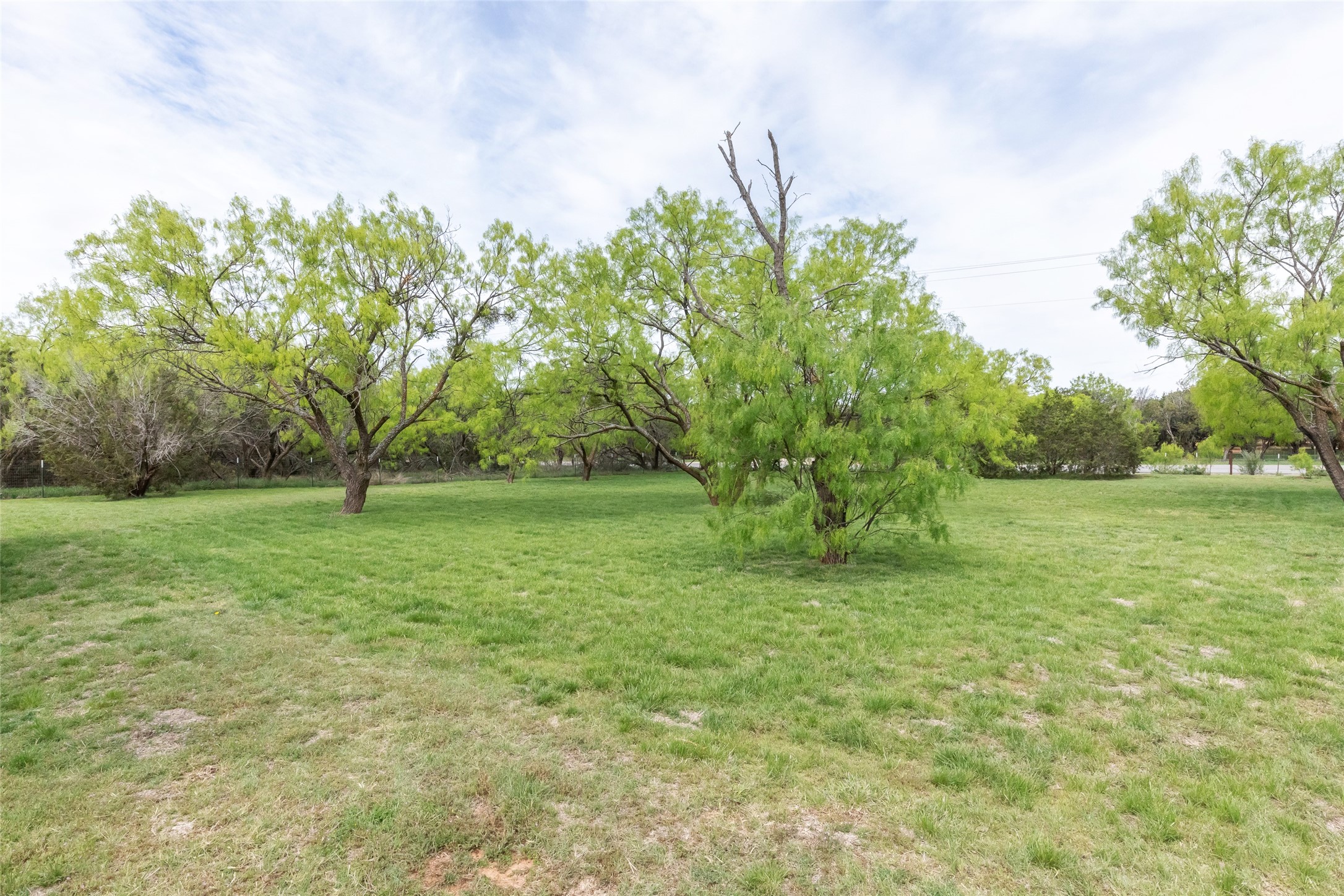 3273 Fm 89 Buffalo Gap TX 79508