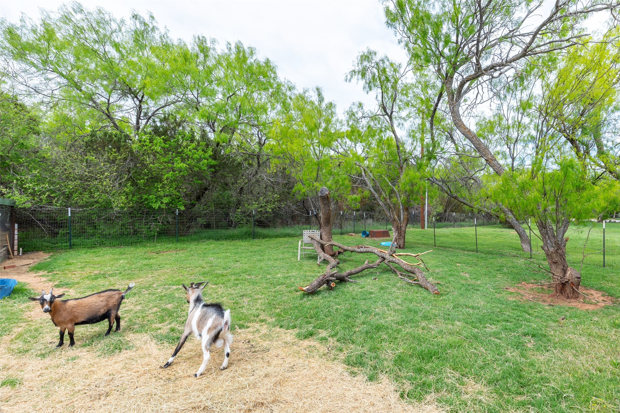 3273 Fm 89 Buffalo Gap TX 79508