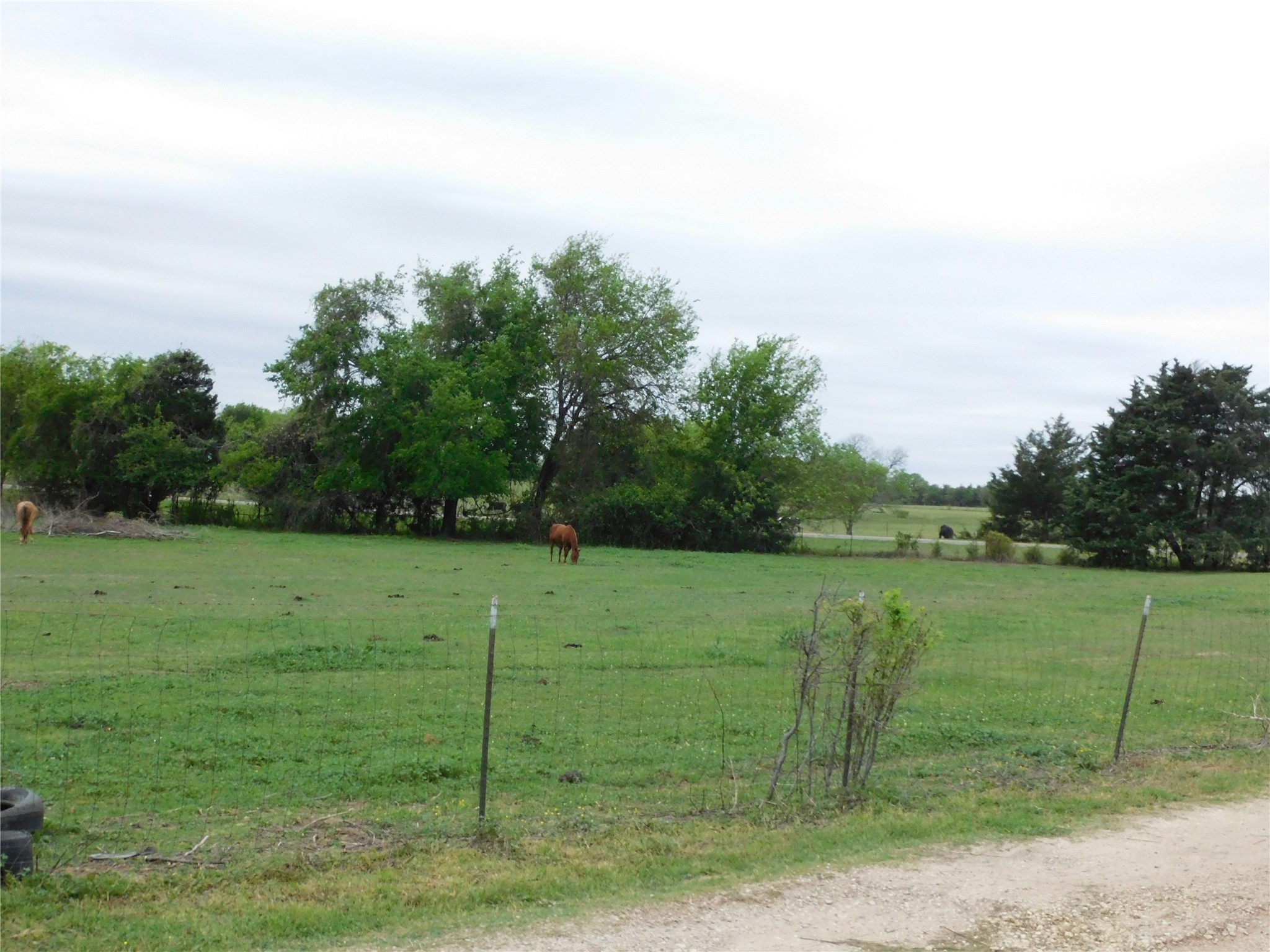1032 Fm 936 Hubbard TX 76648