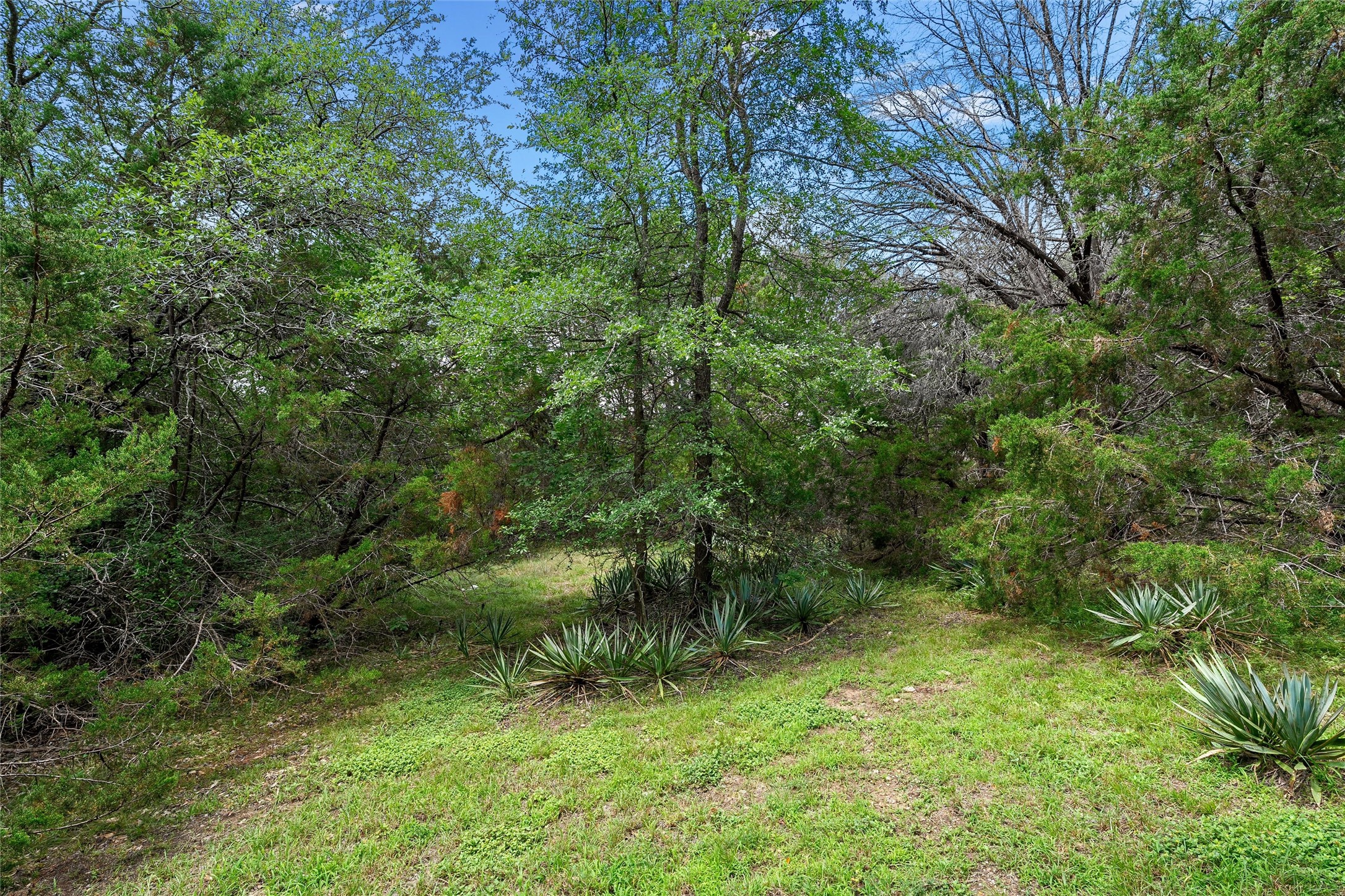 139 Cresthill Circle Valley Mills TX 76689