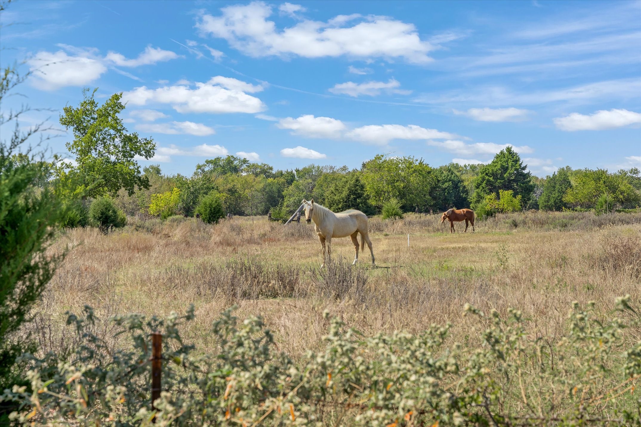 337 Vz County Road 2719 Mabank TX 75147