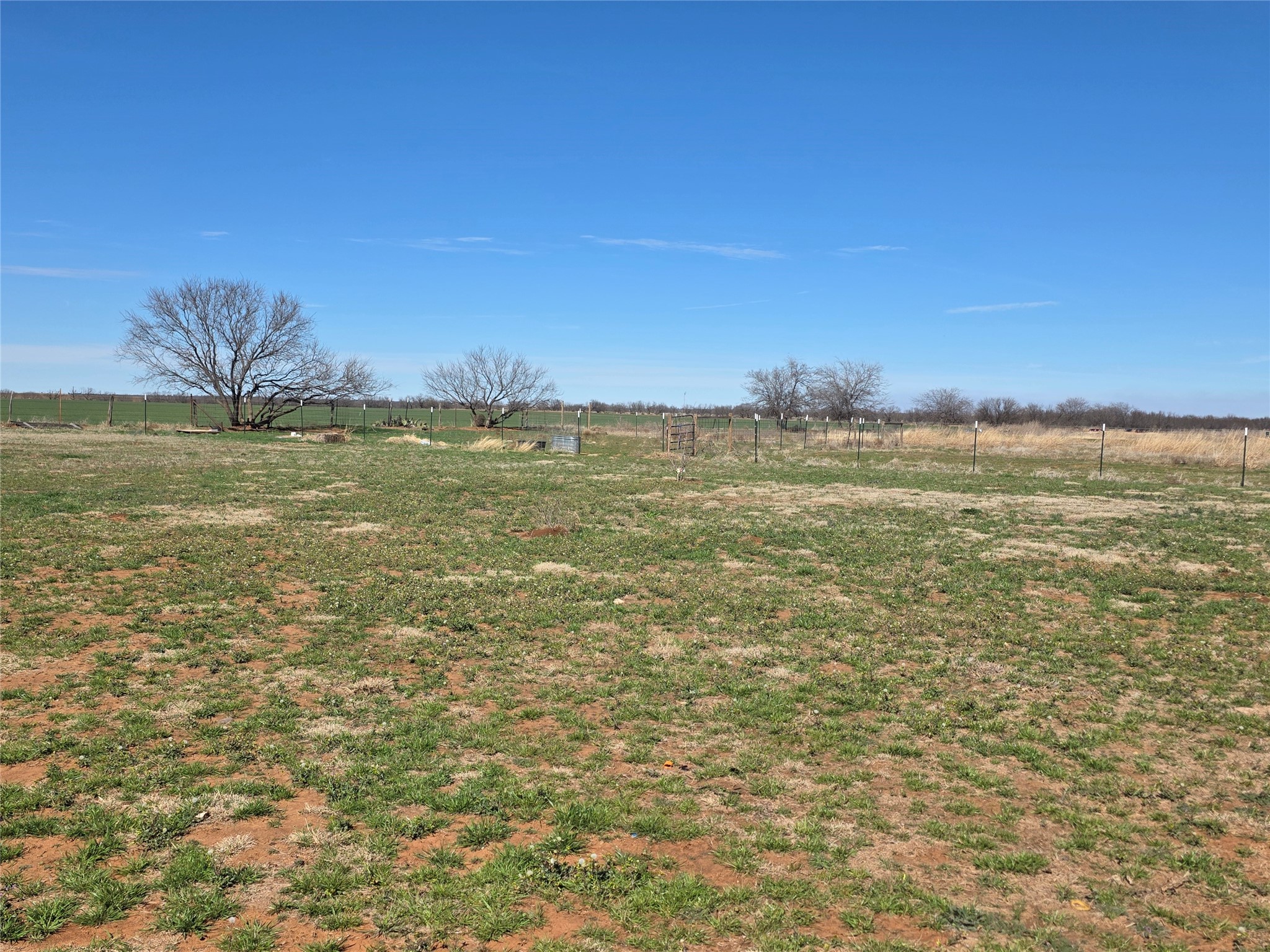 1225 R G Loop Olney TX 76374