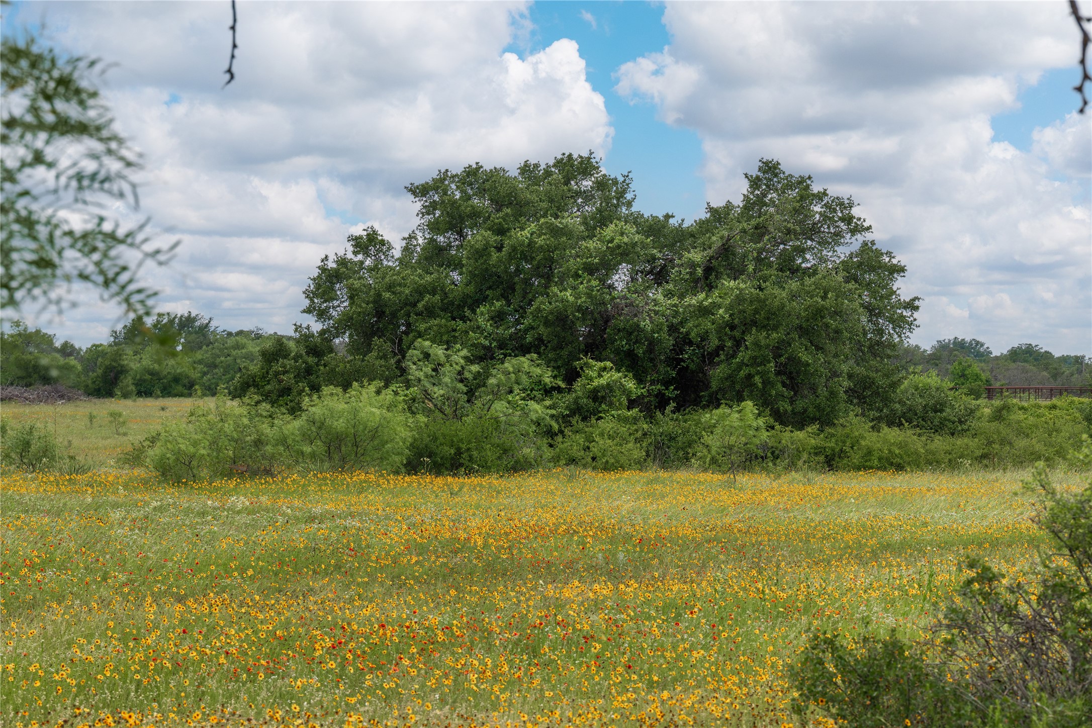 15500 County Road 417 May TX 76857