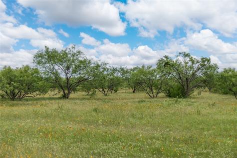 15500 County Road 417 May TX 76857