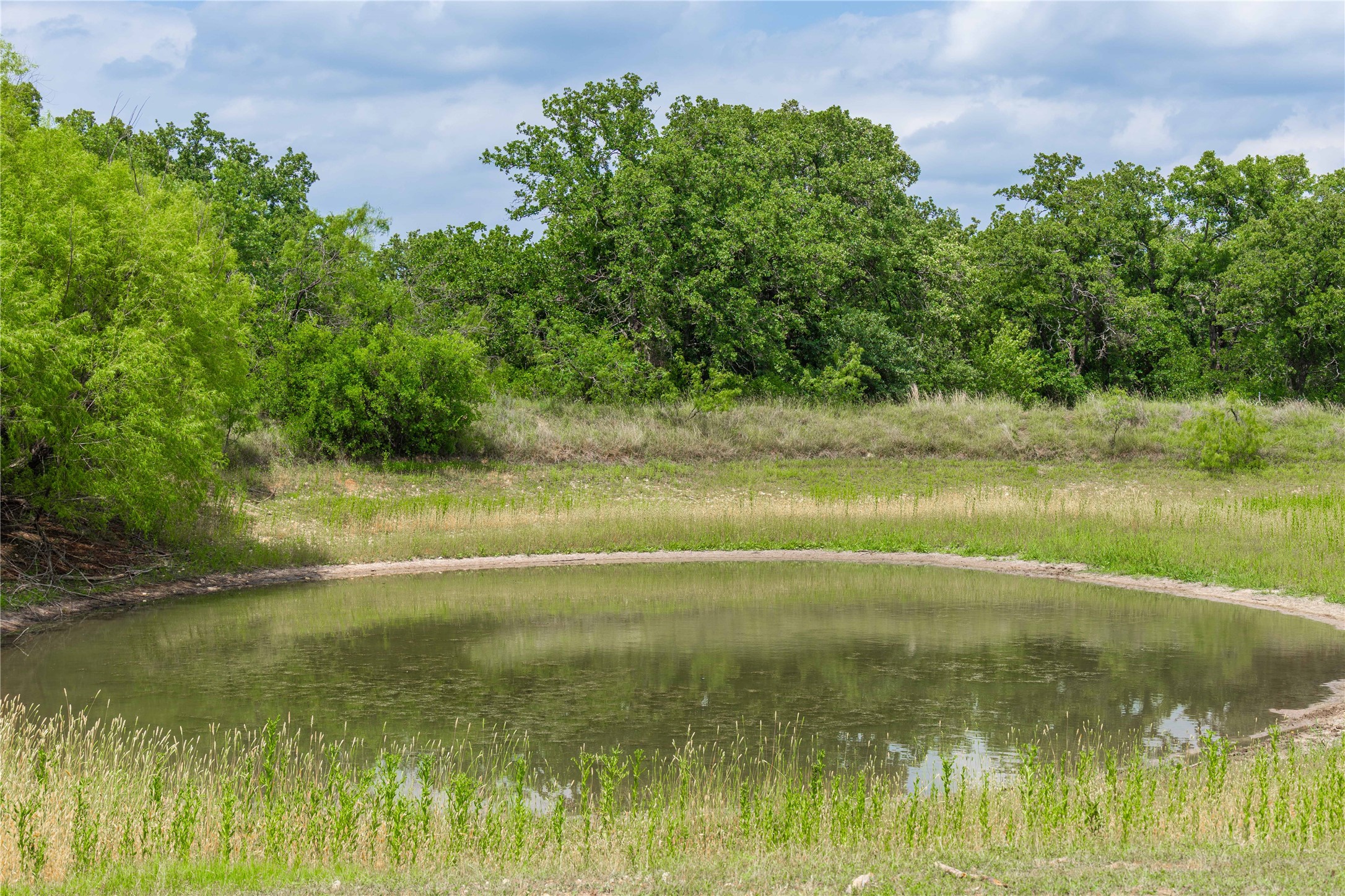 15500 County Road 417 May TX 76857