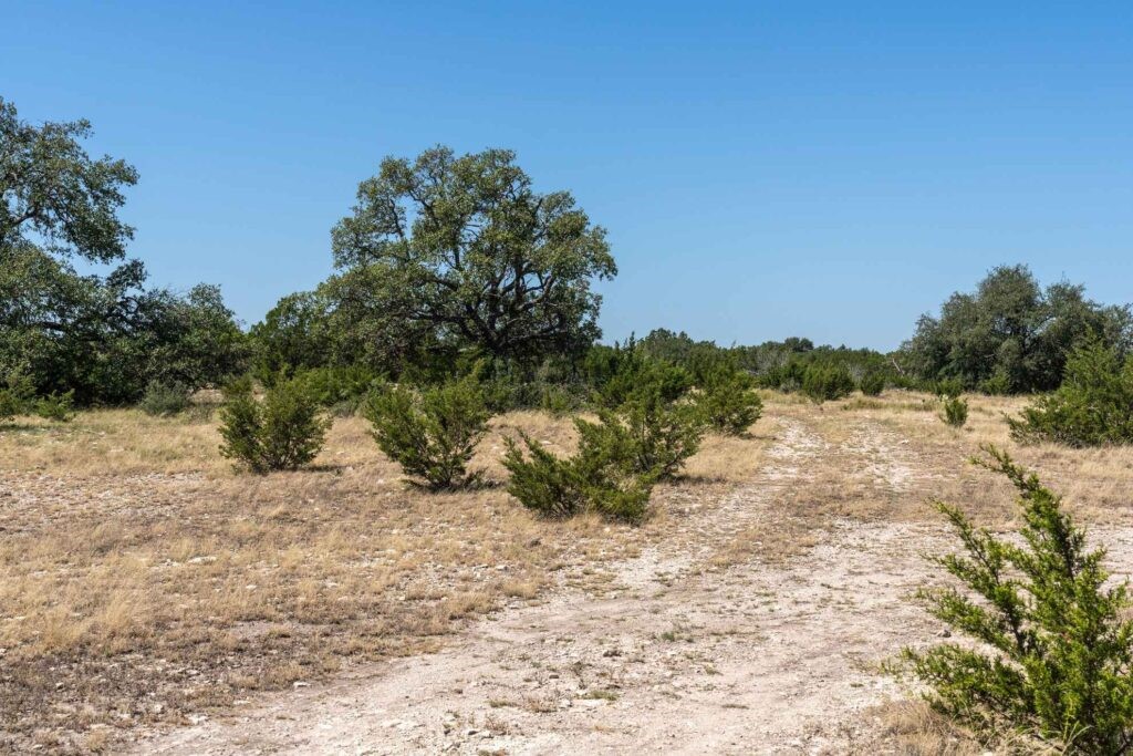 289 Acres County Road 24 Junction TX 76849